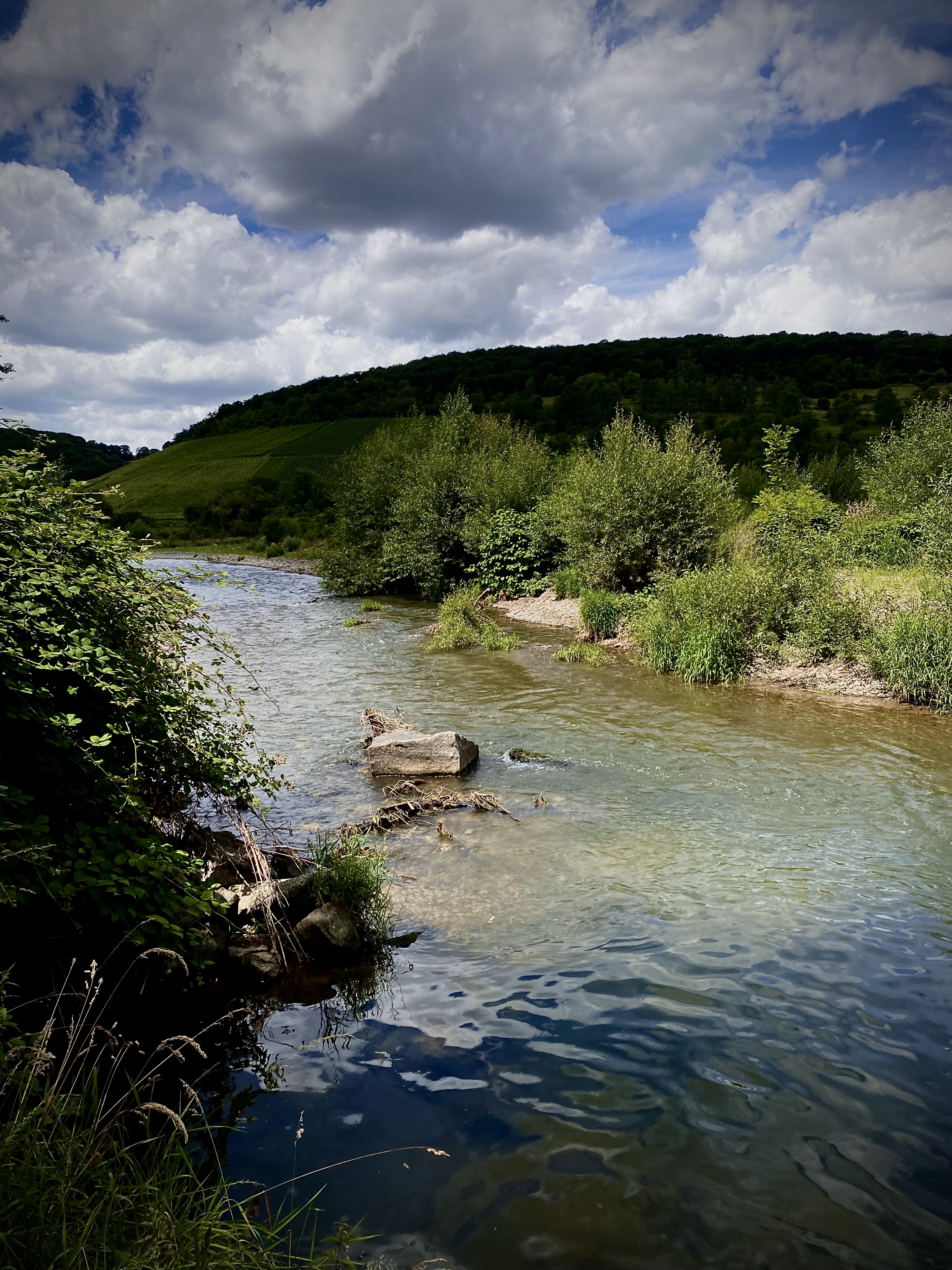 Bild von Sarah Katharina für den Spot 1436