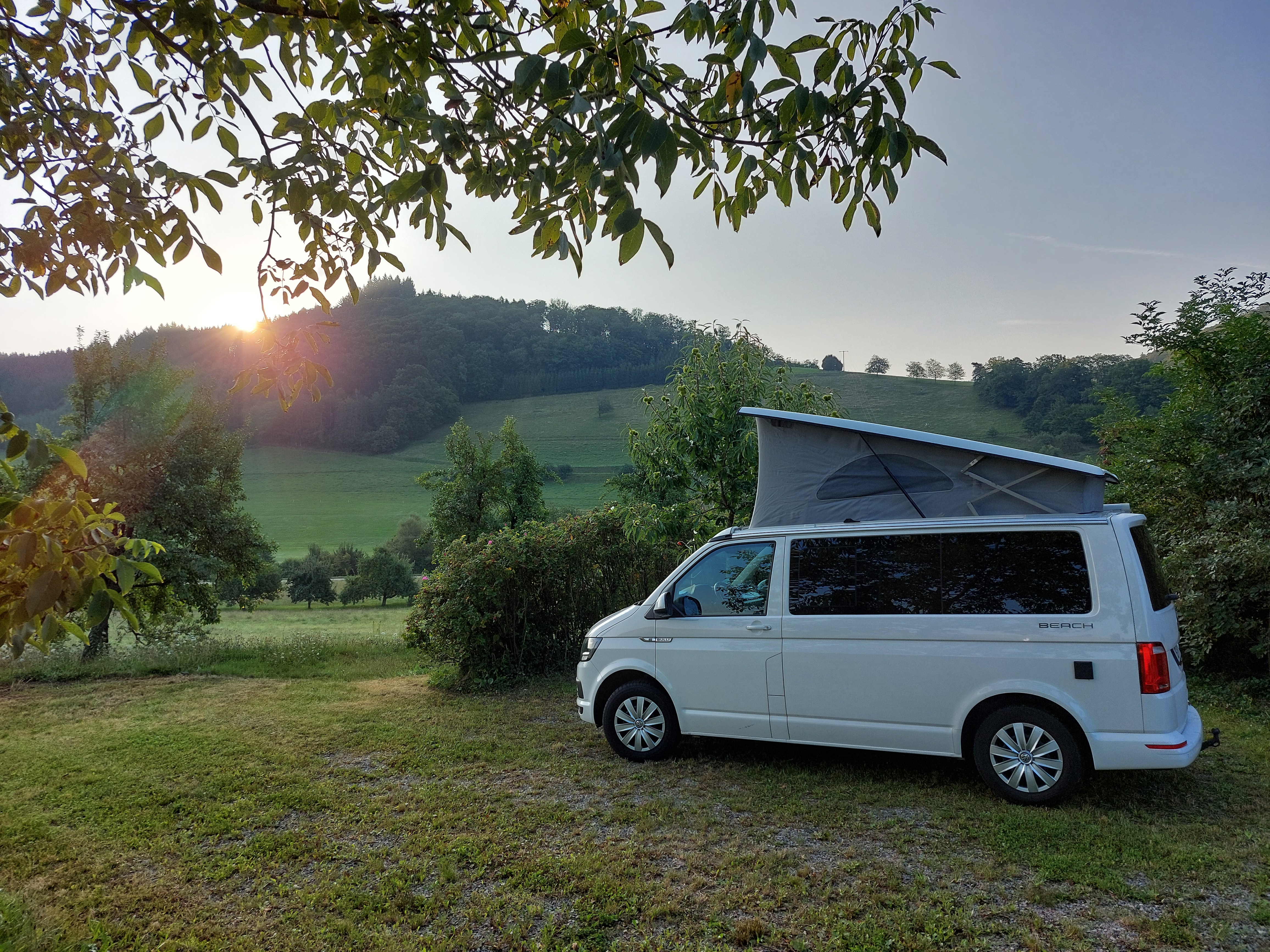 Piggeldy und Frederick fernweh