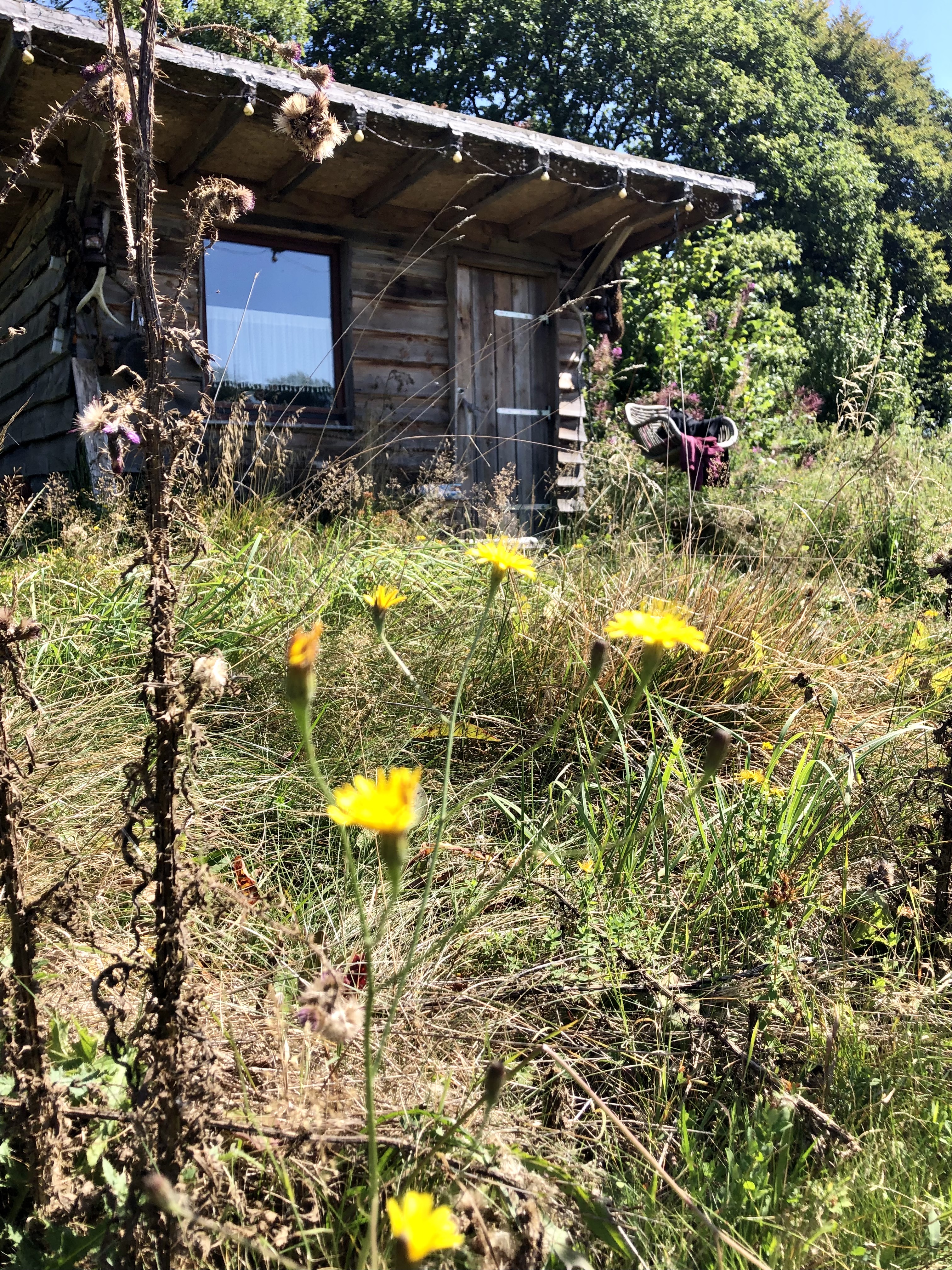 Bild von Anni für den Spot 1306