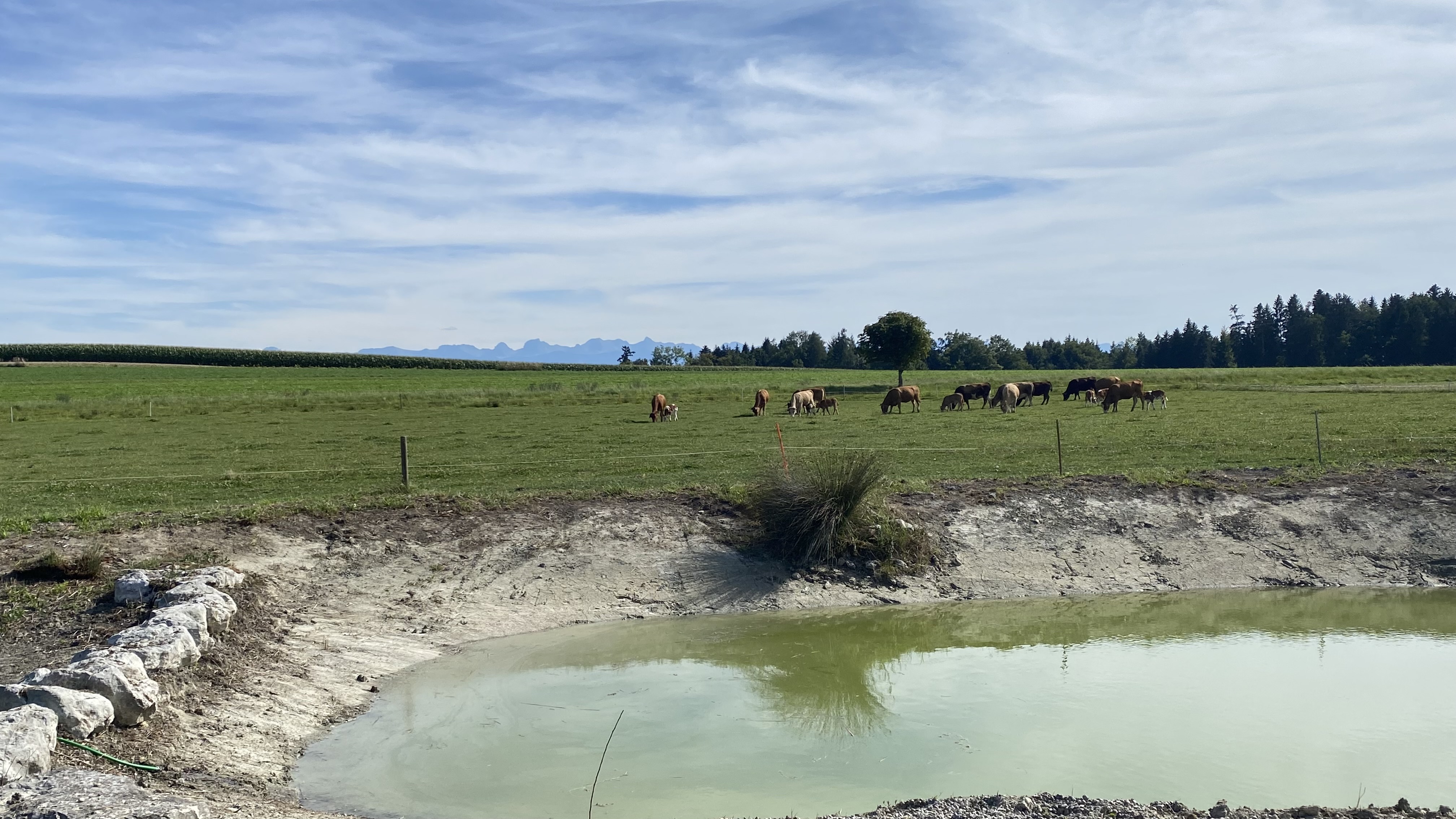 Bild von Simone für den Spot 177