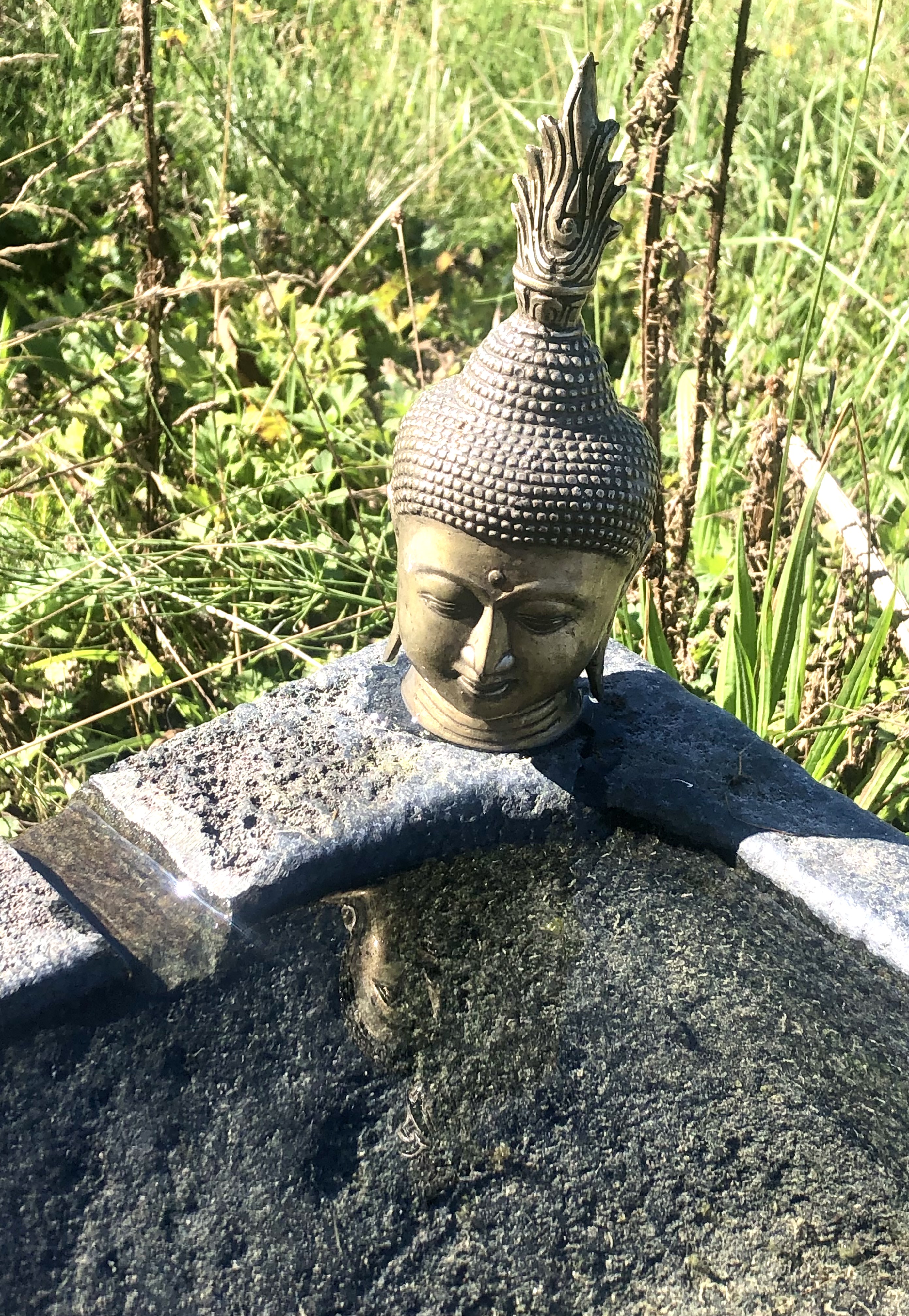 Bild von Anni für den Spot 1306