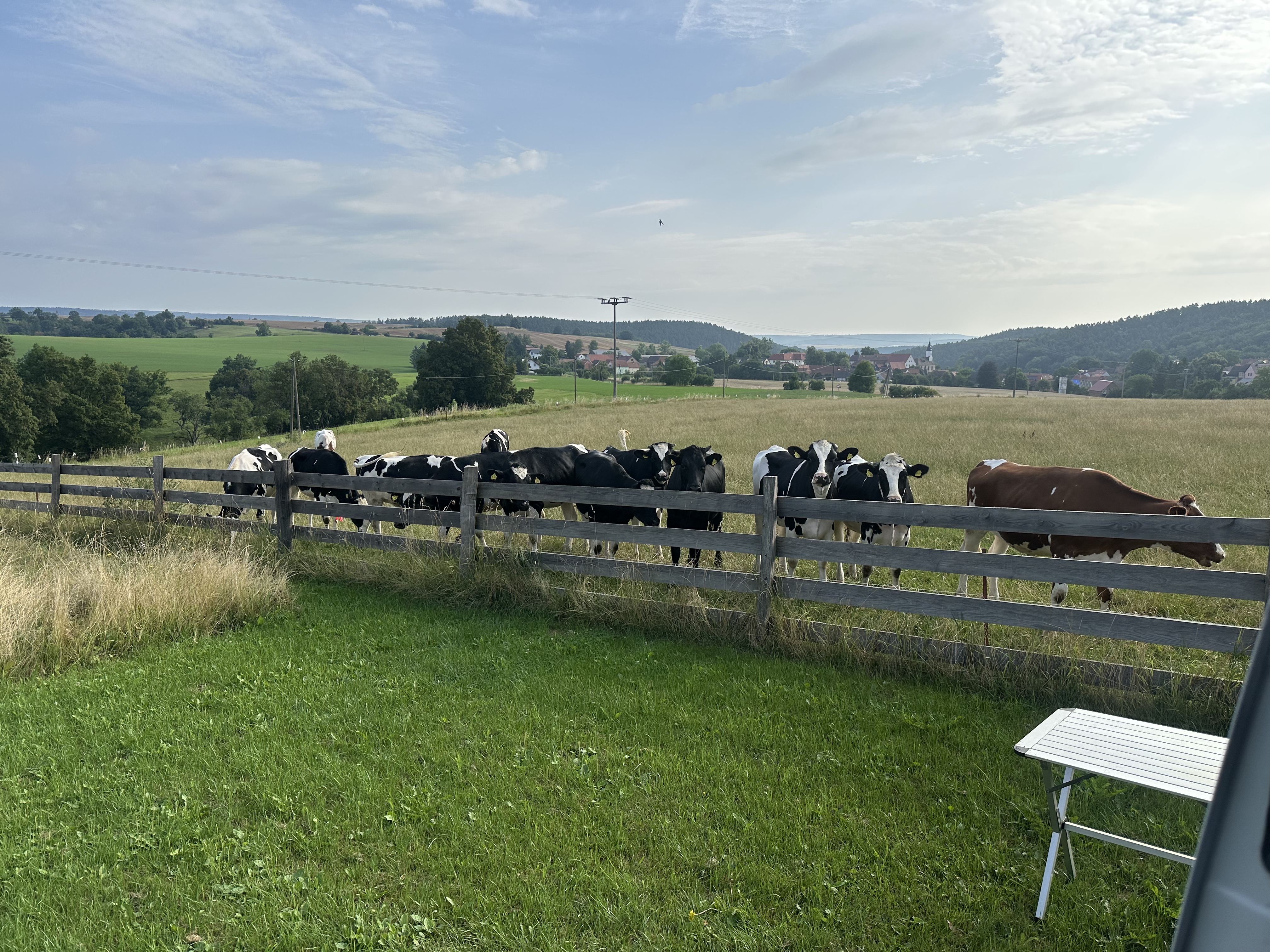 Bild von Marcell für den Spot 1876