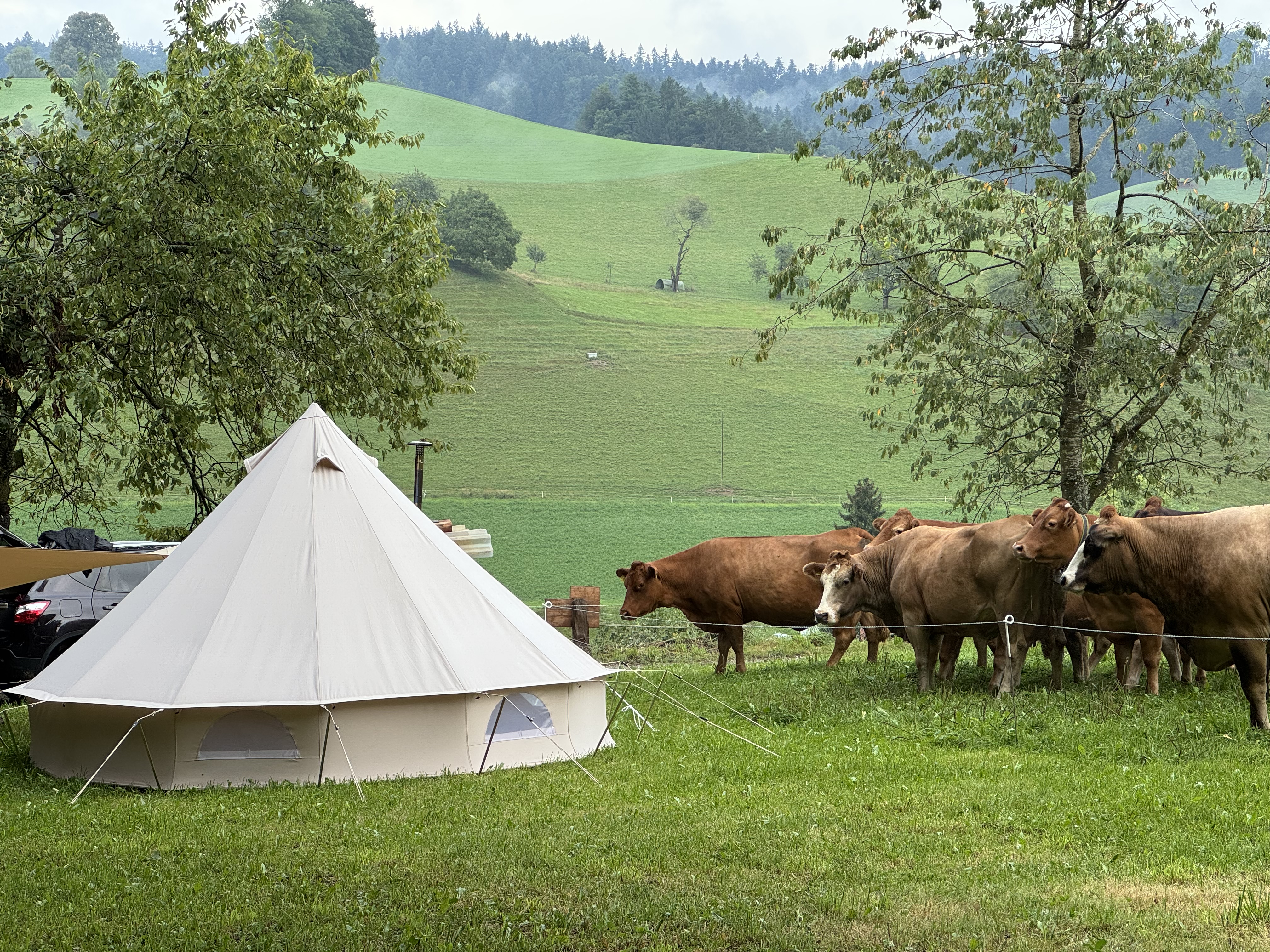 Bild von Melanie für den Spot 323