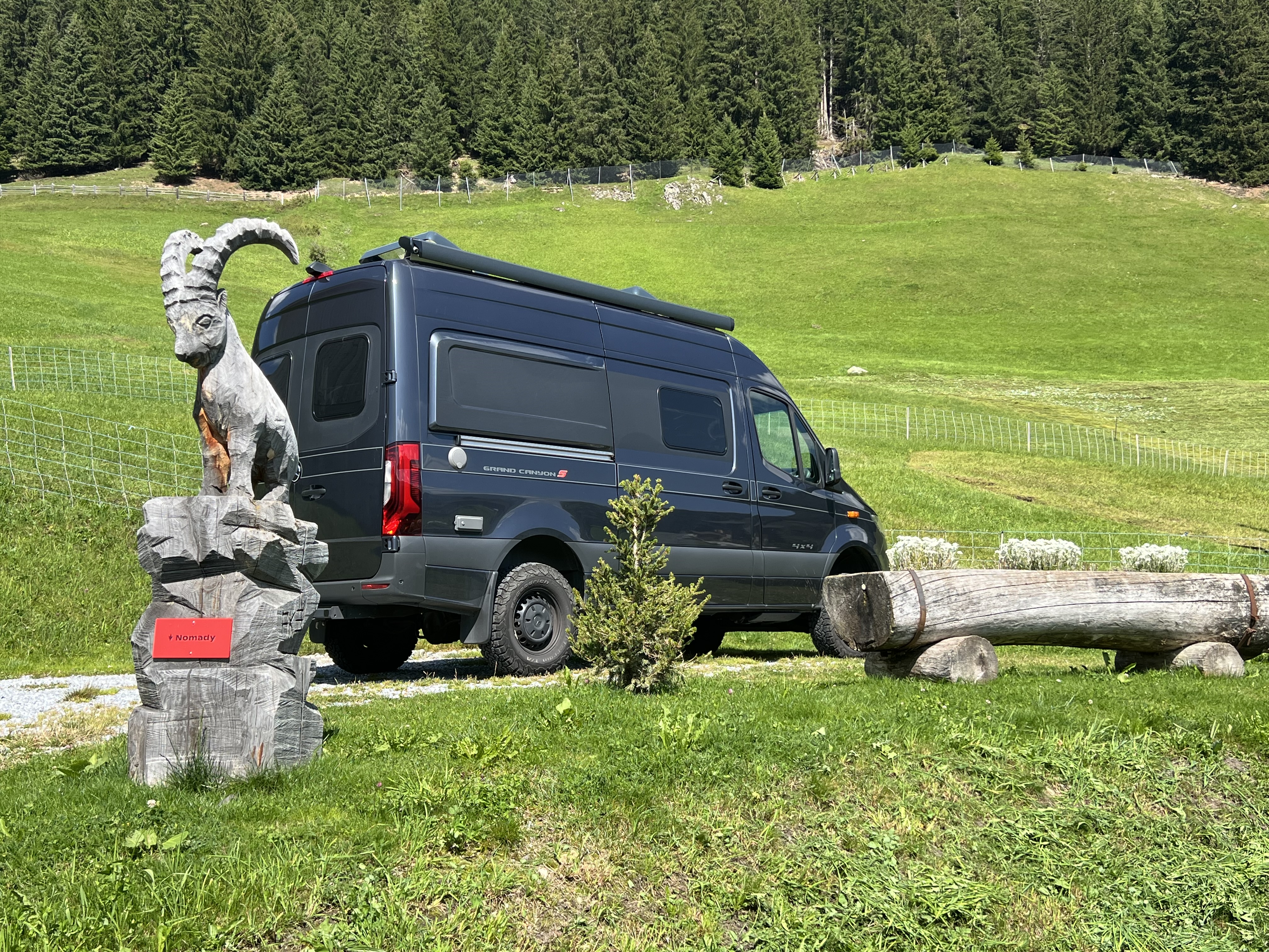 Steinbock Bergpanoramasicht