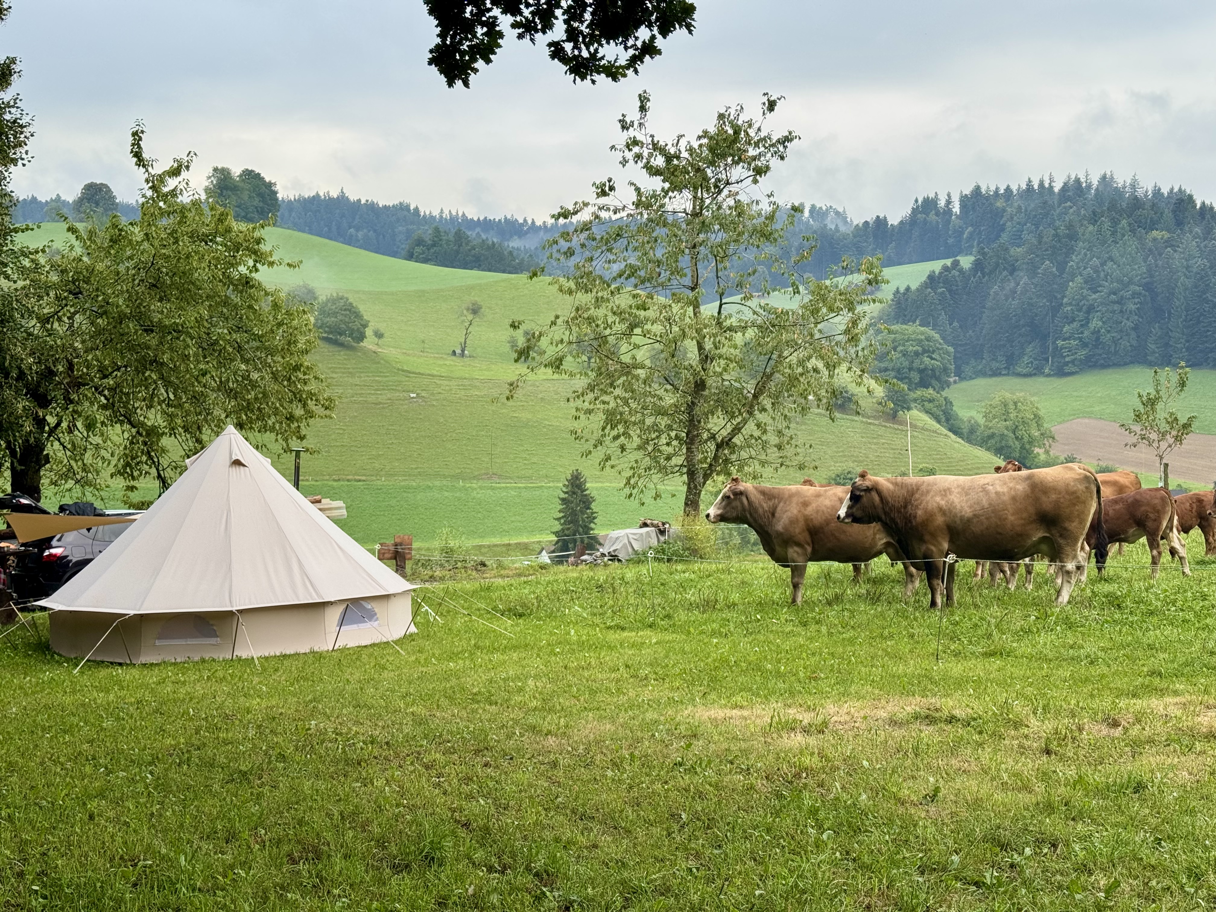 Bild von Melanie für den Spot 323