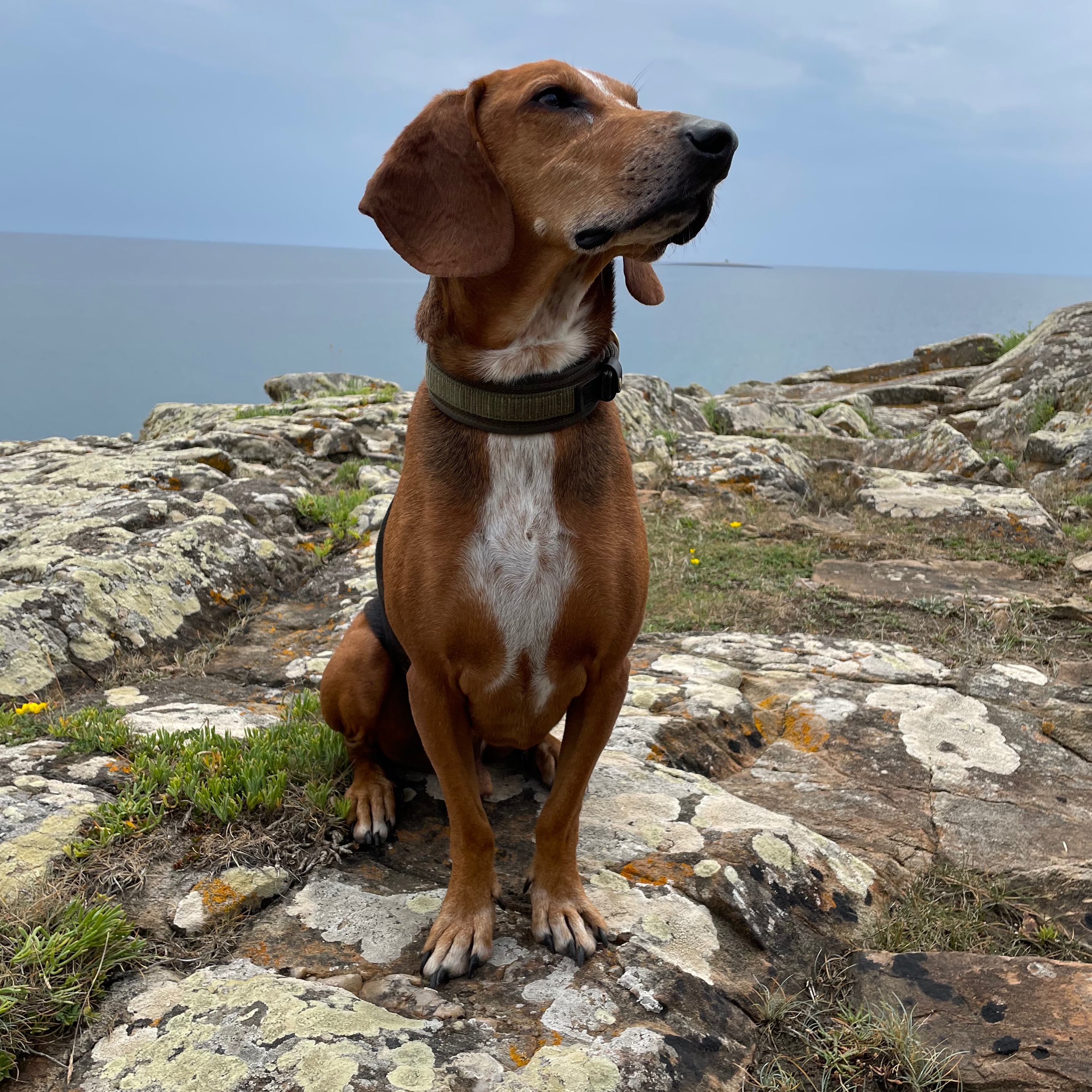 Profilbild von Jürg