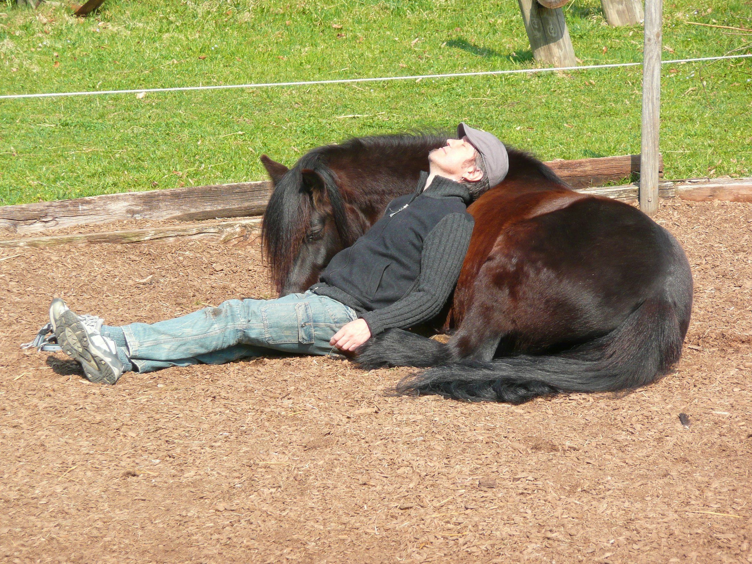 Caroline und Markus avatar