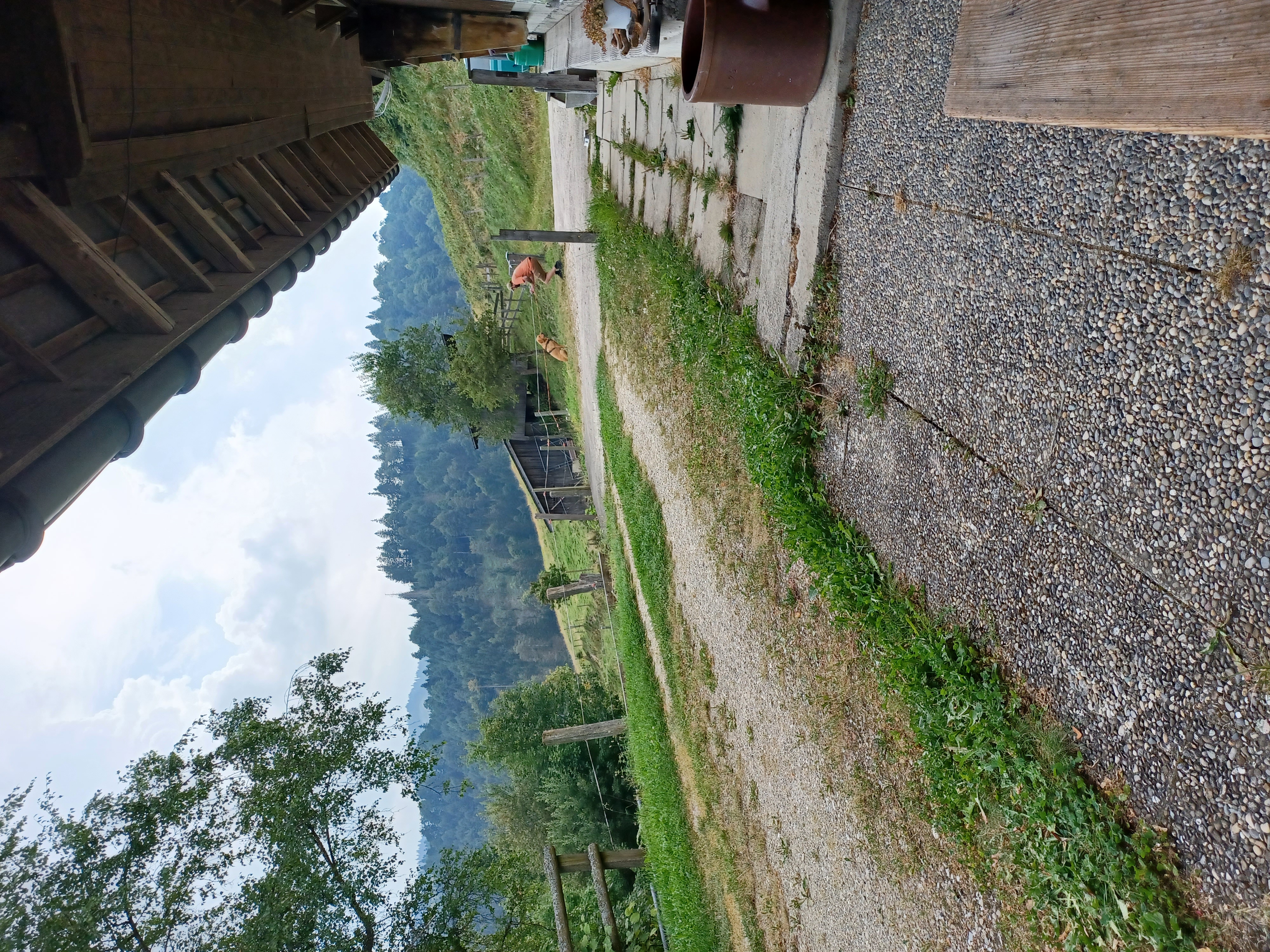 Bild von Christine für den Spot 364