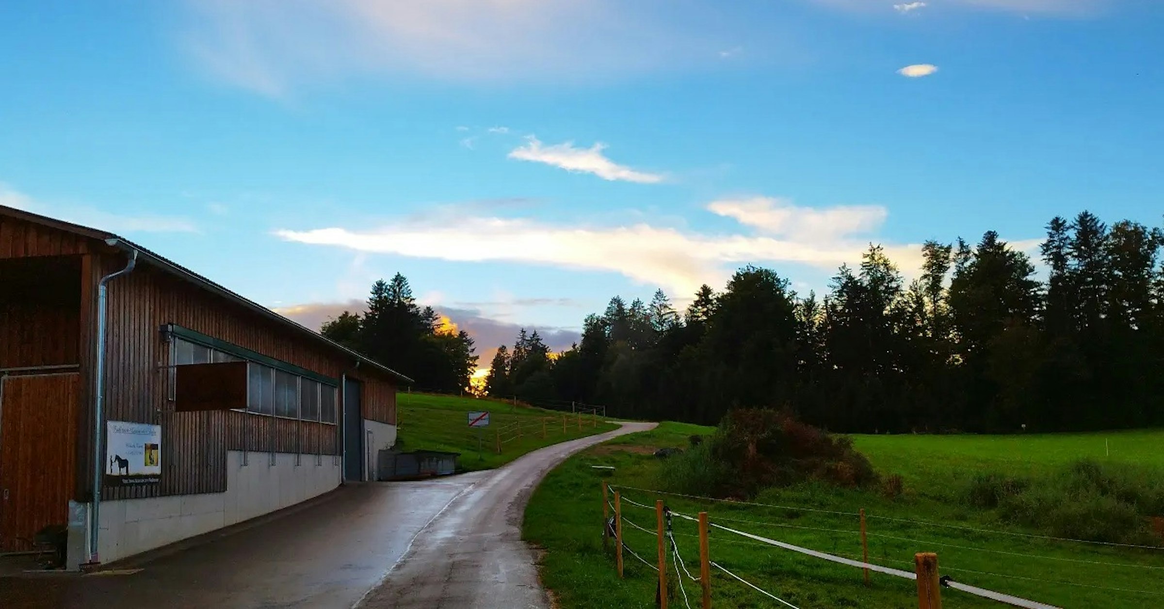 Pferderanch im sonnigen Nebelberg
