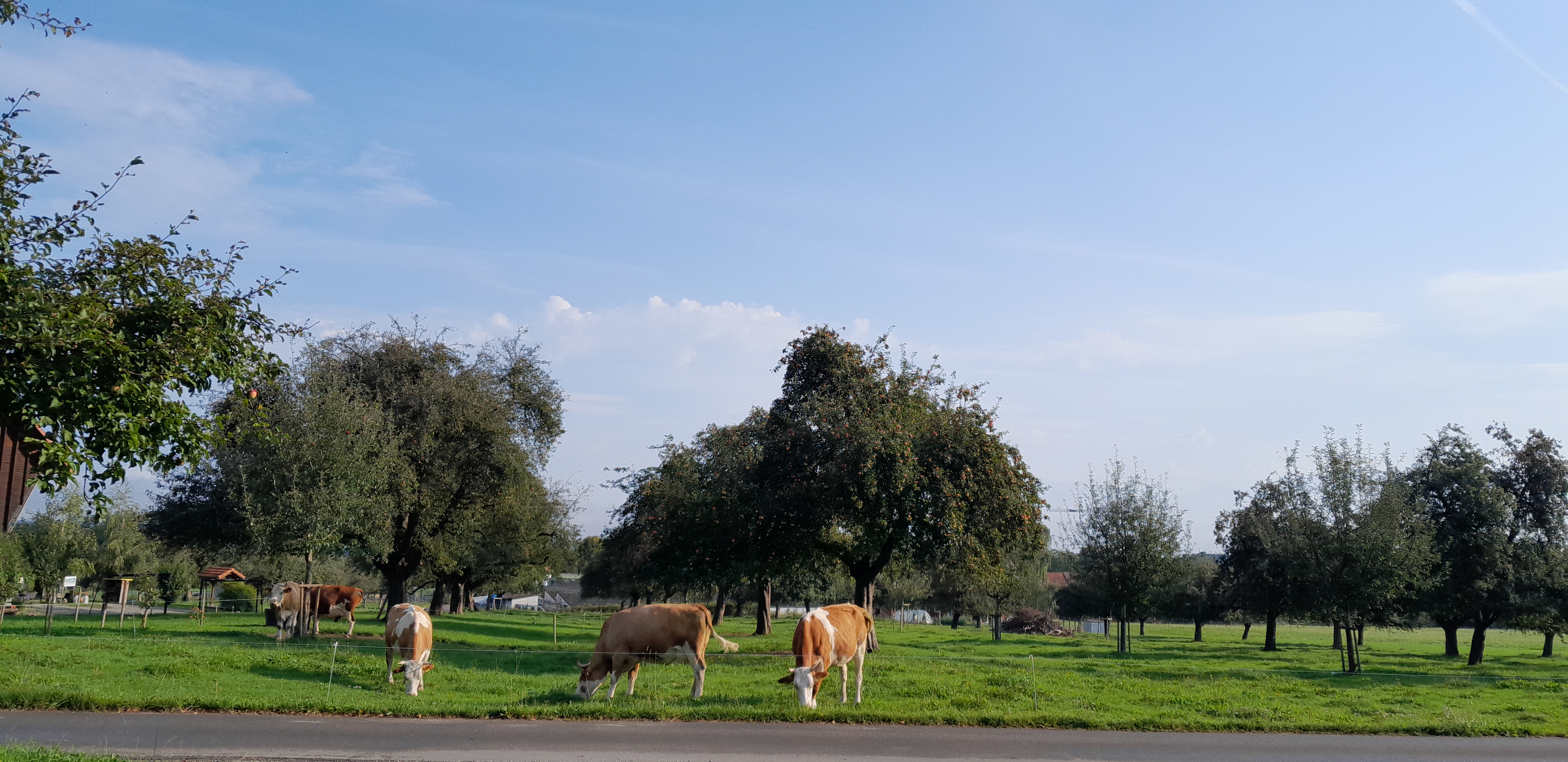 Bild von Andreas für den Spot 77