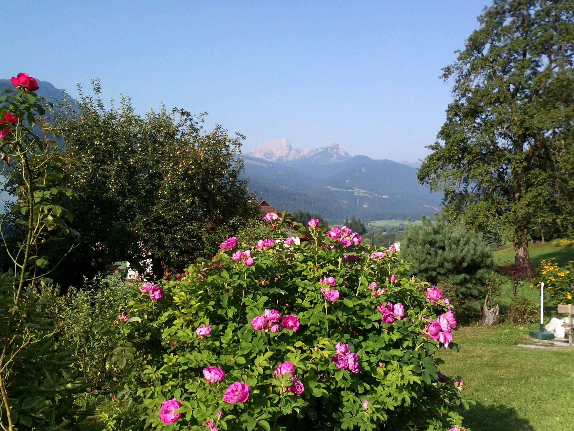 Zimmer am Land mit Gratis-Angeboten