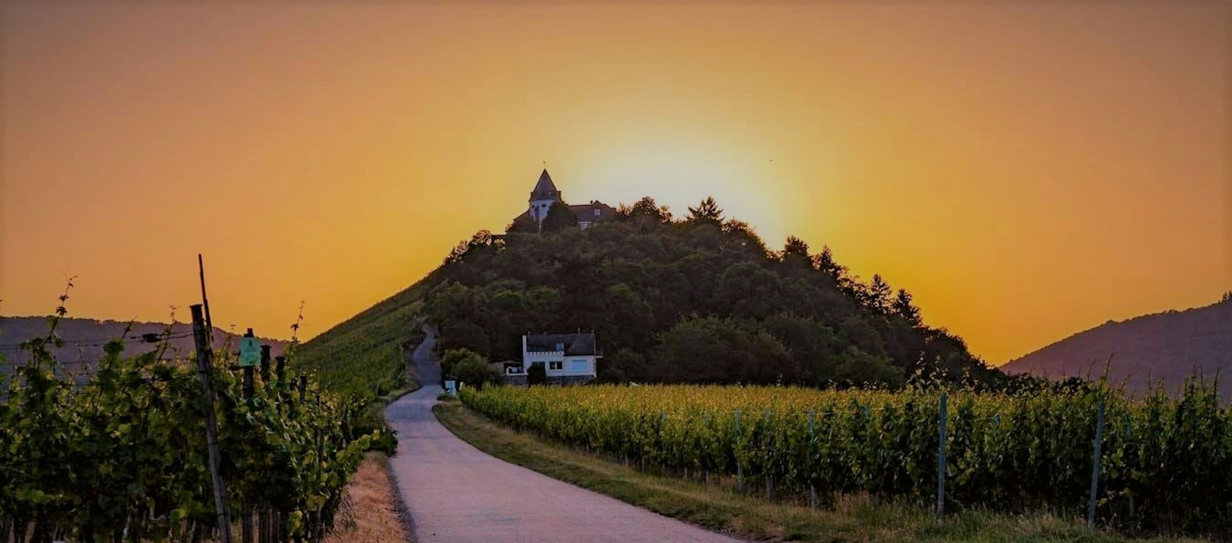 Ruhiger Stellplatz am Weingut