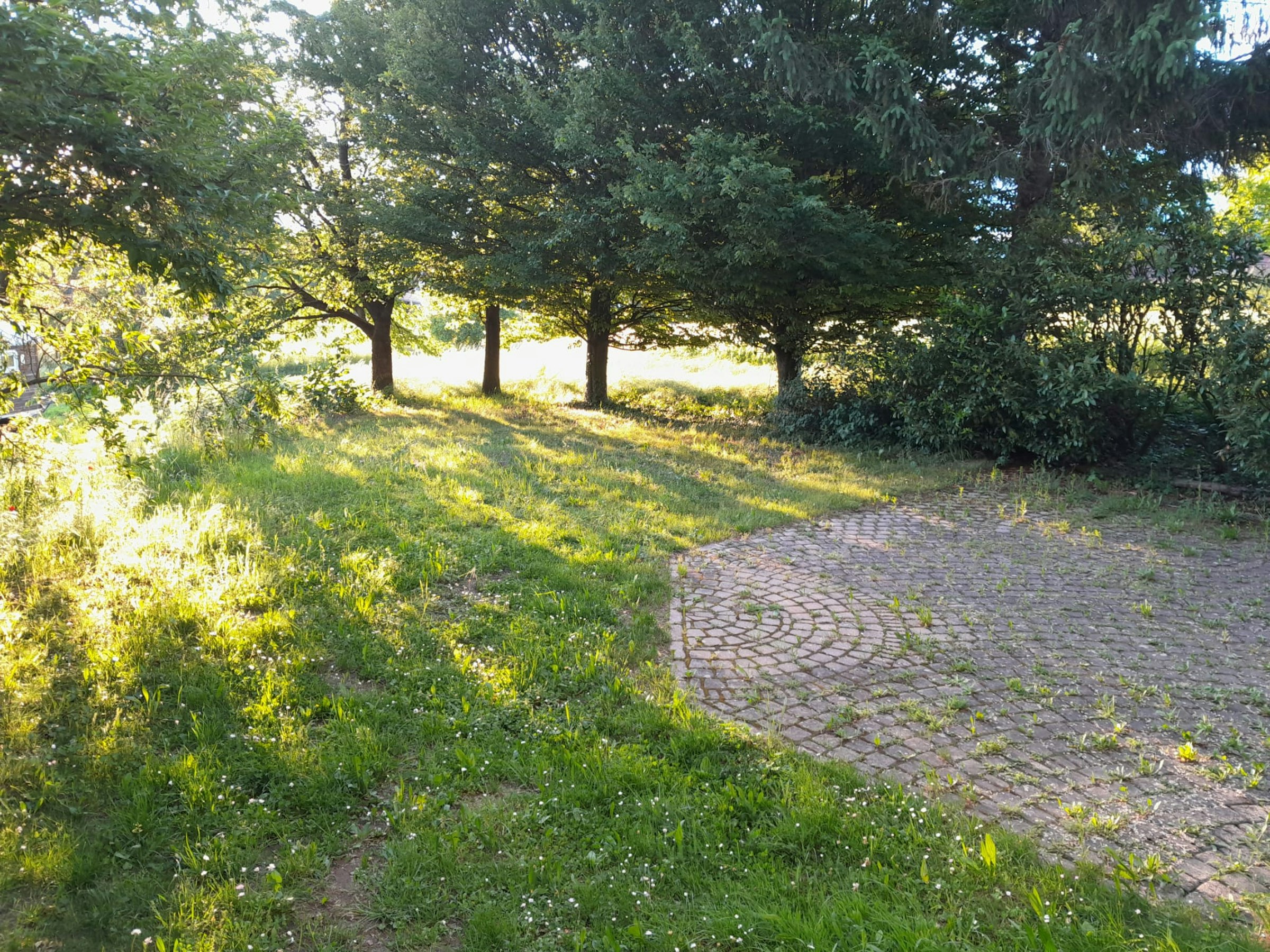 Idyllische Wiese & Traisentalblick