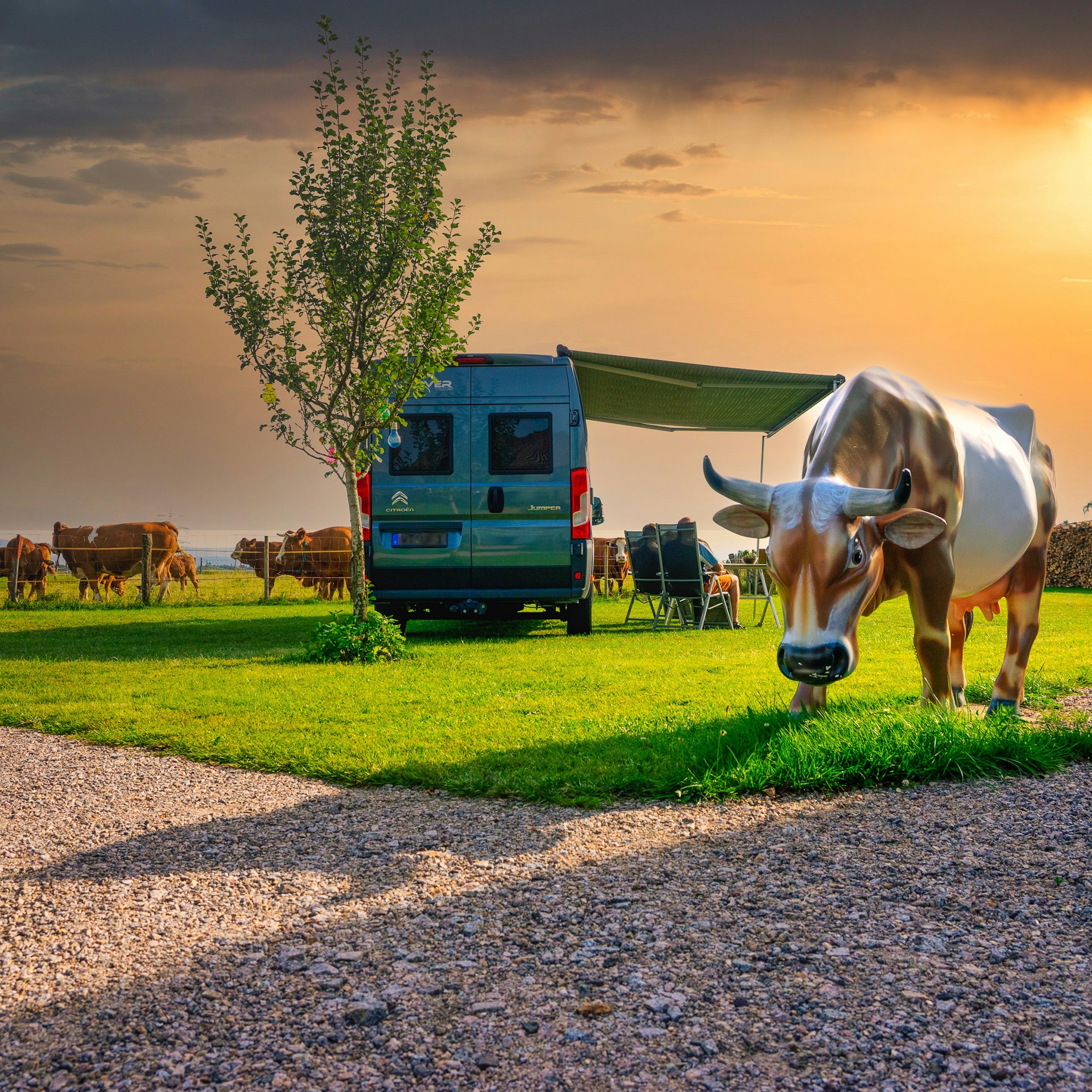 Komfort Camp an der Weide