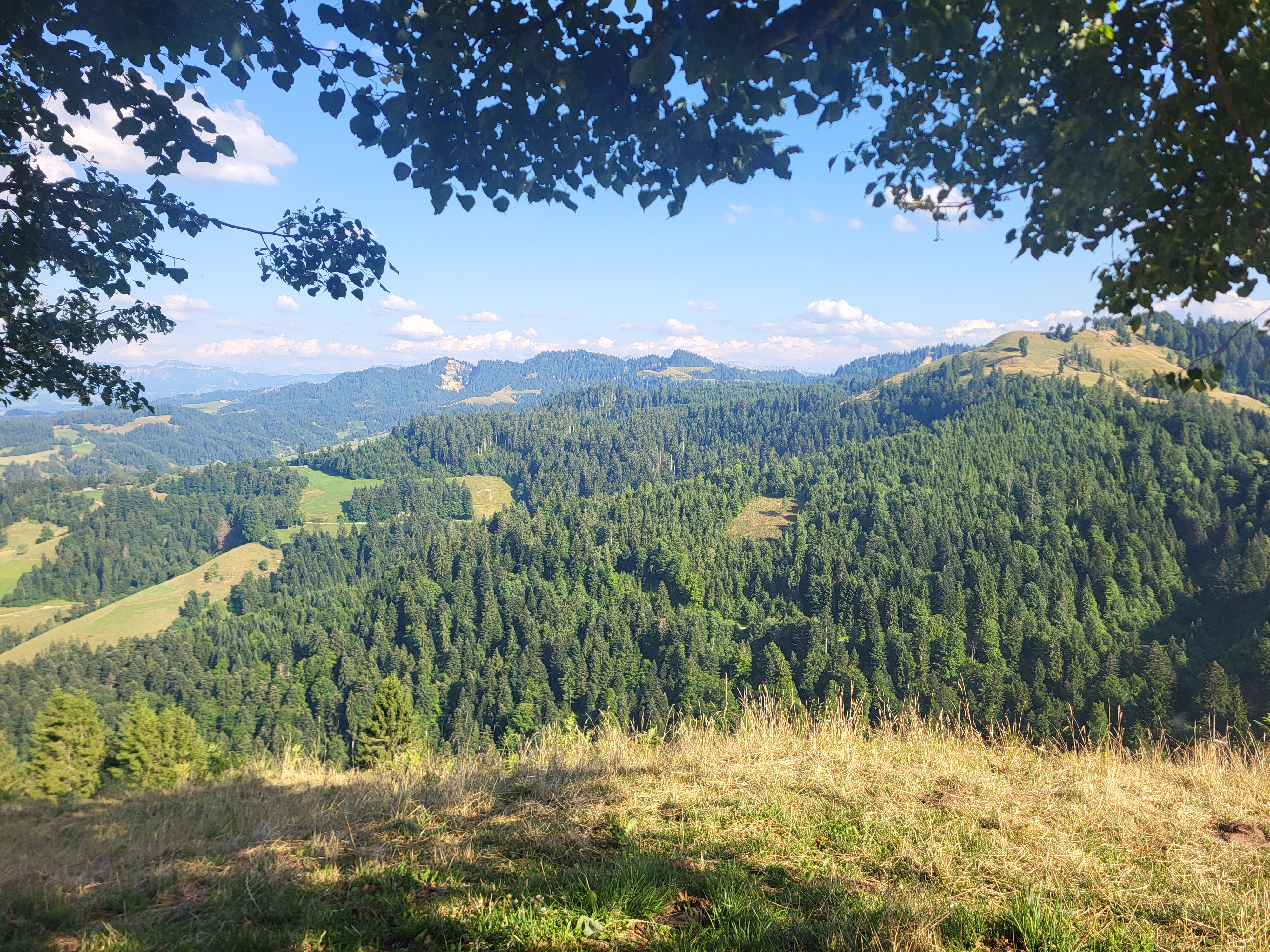 Bild von Bruno für den Spot 364