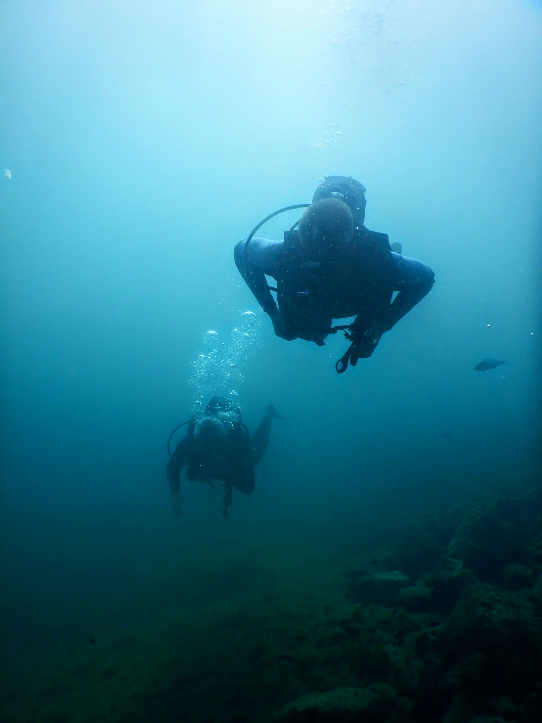 Profilbild von Tobias