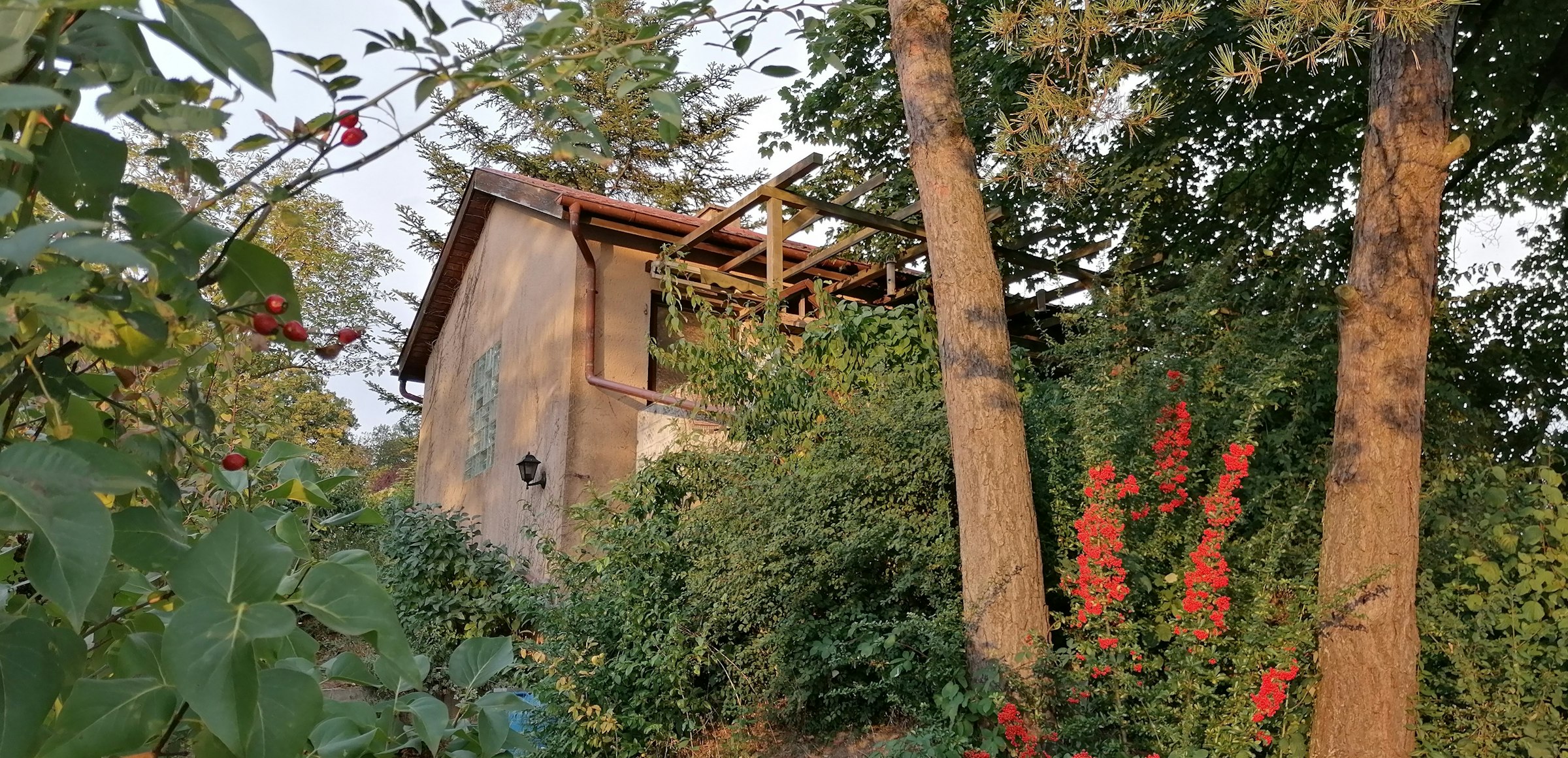 Wo's Blümle wächst - Das Haus