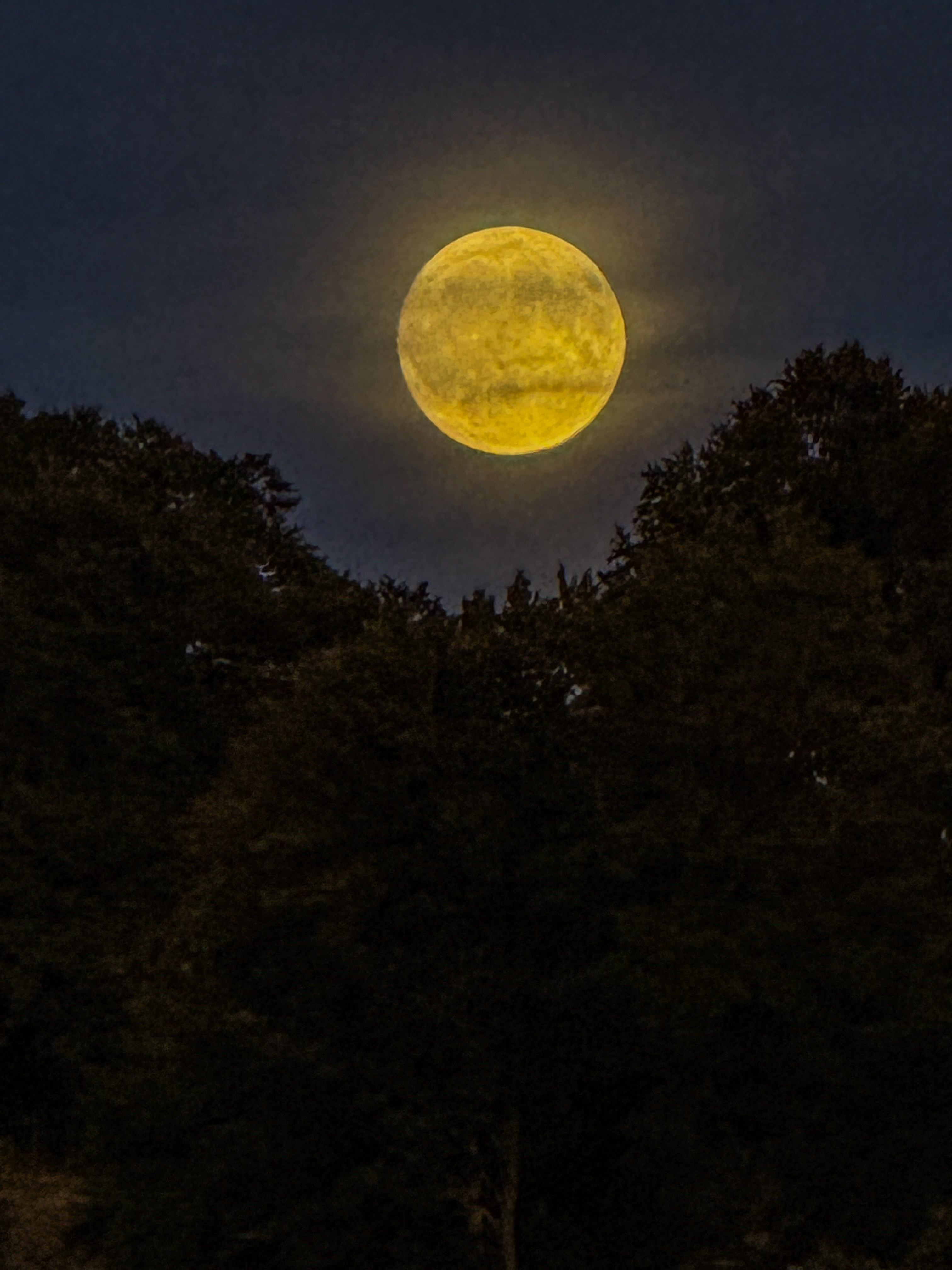 Bild von Fabienne für den Spot 363