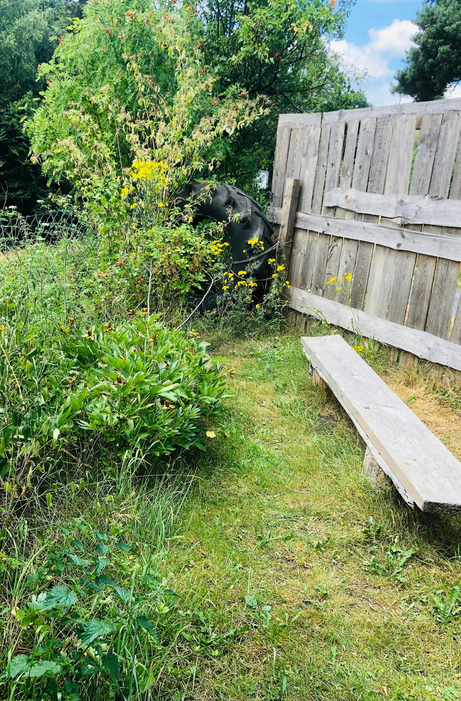 Träumen unter den Sternen