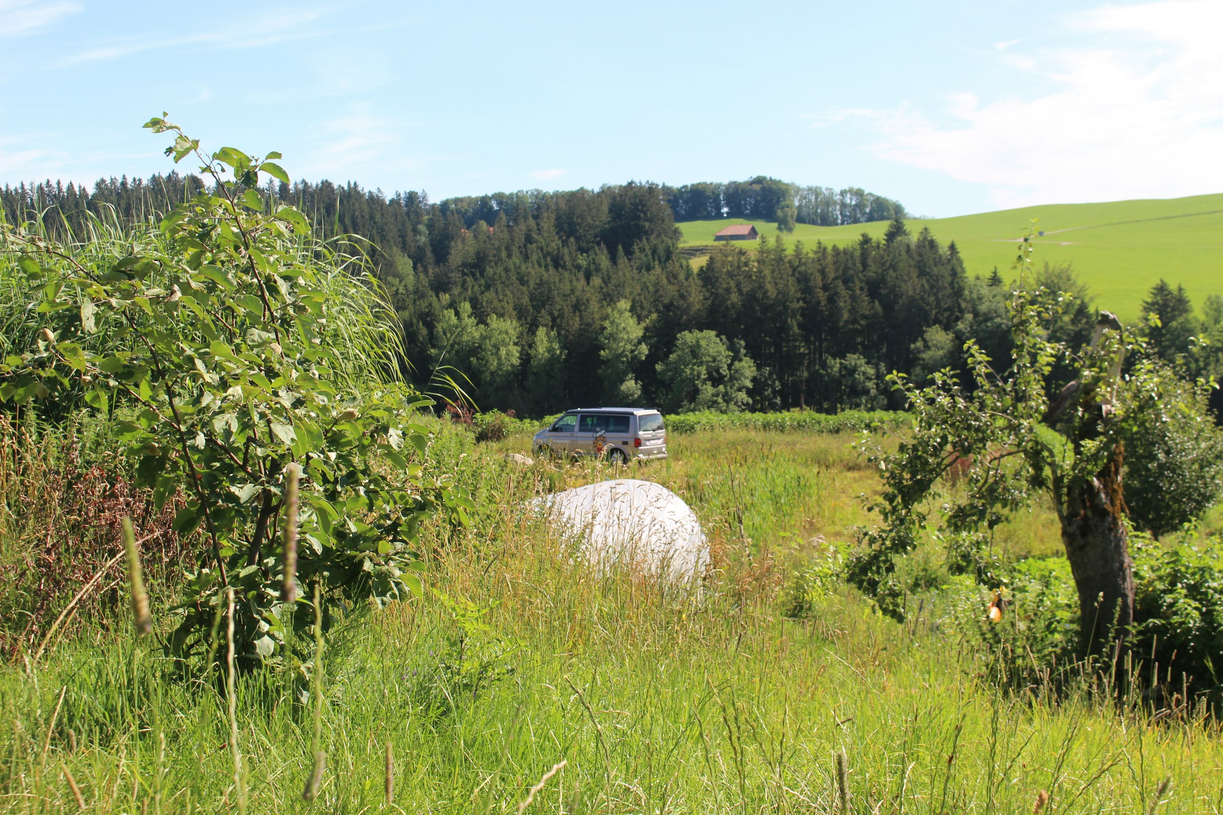 Natur-Camp am Badeteich