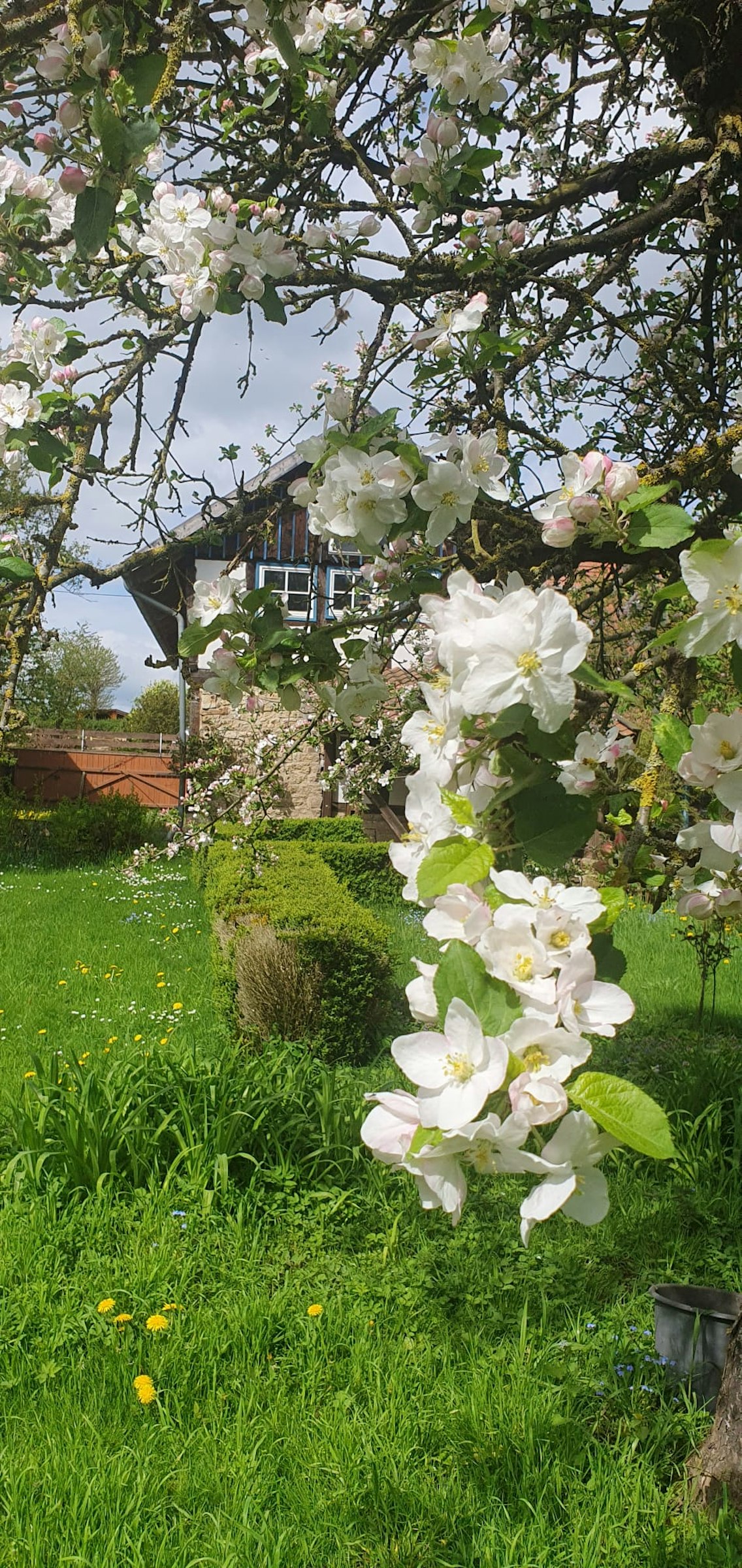 Naturwiese mit Saunaangebot