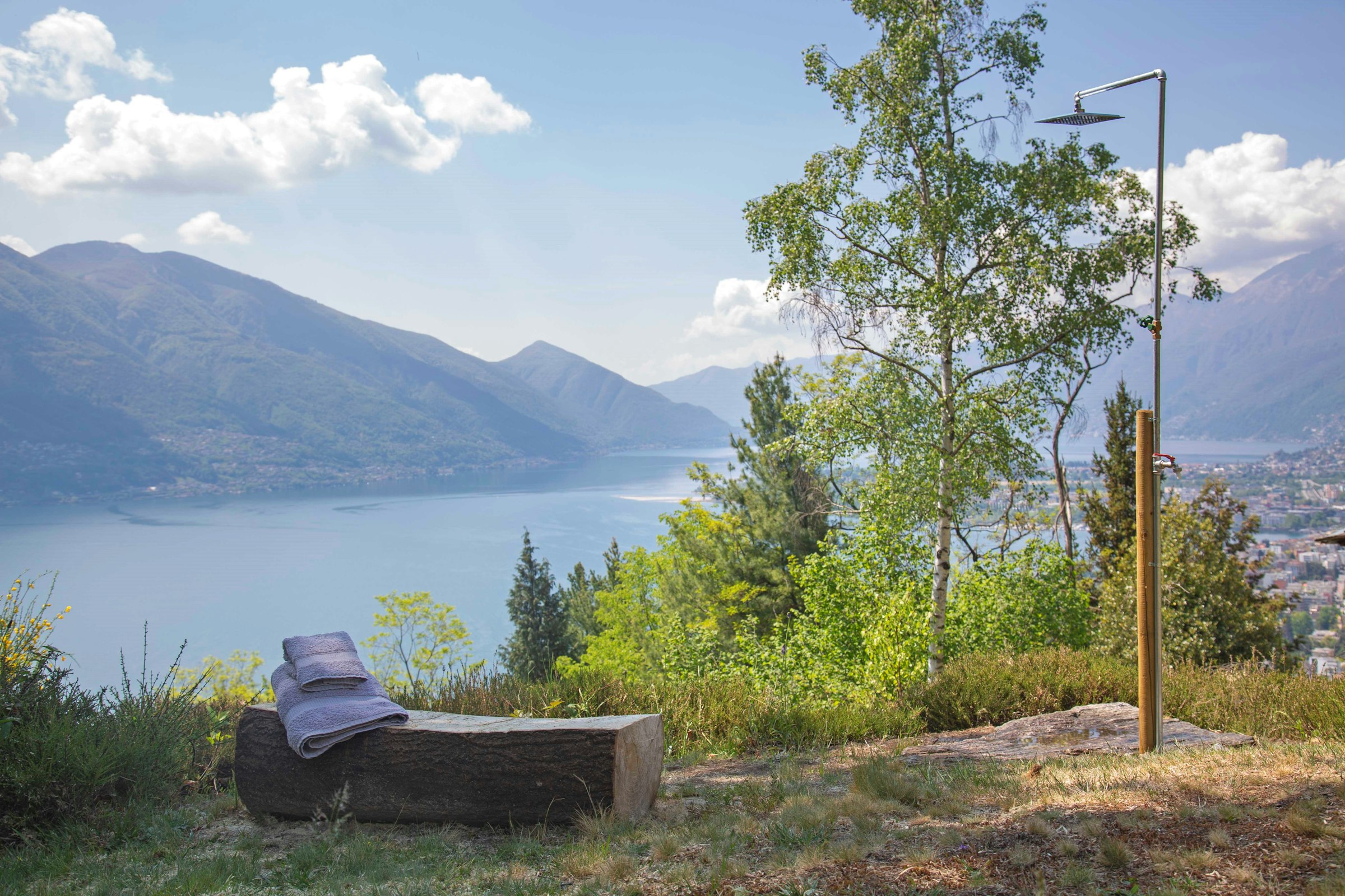 La Sorgente (castagno)