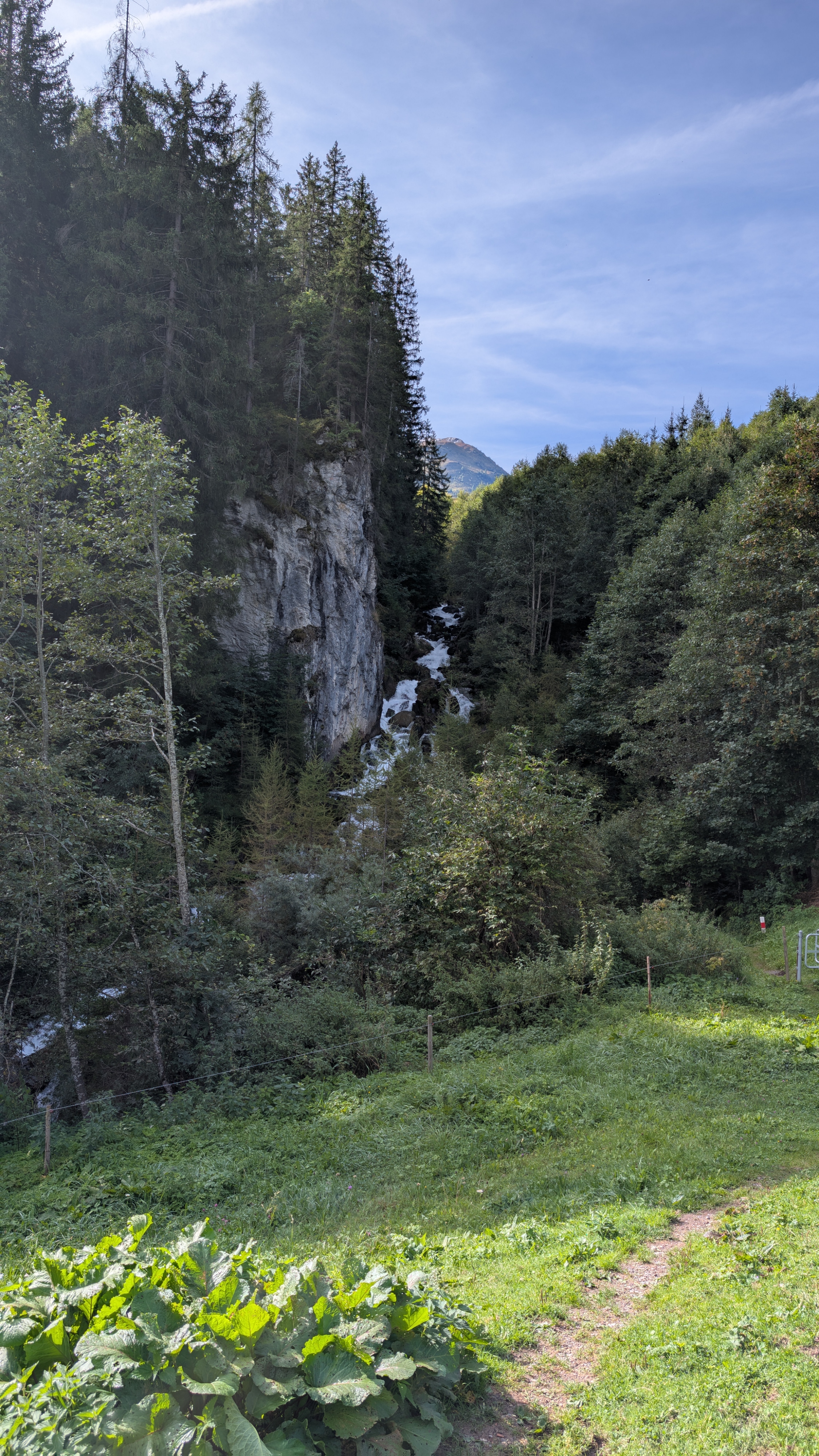 Bild von Corina für den Spot 295