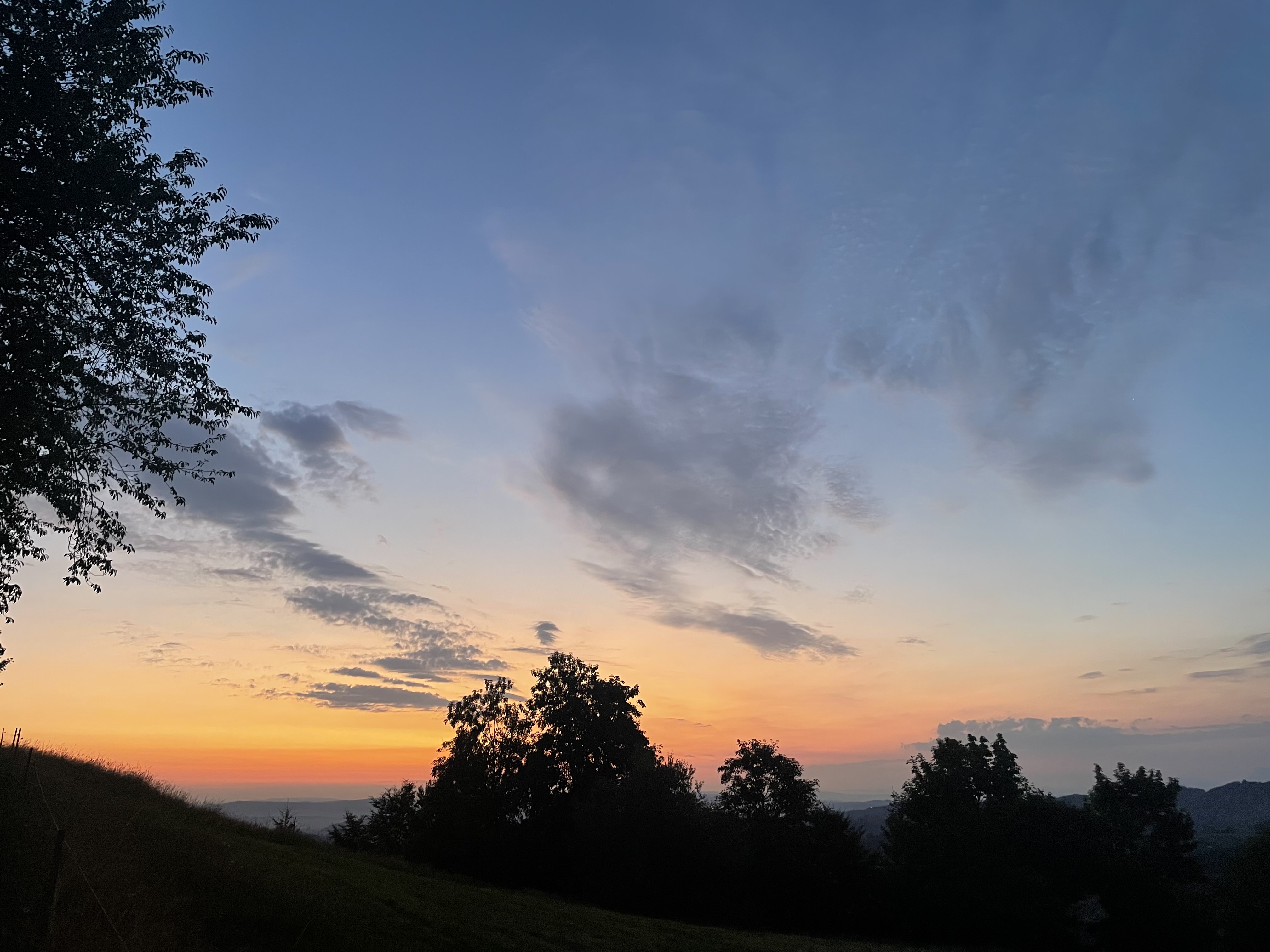 Bild von Tamara & Hampi für den Spot 364