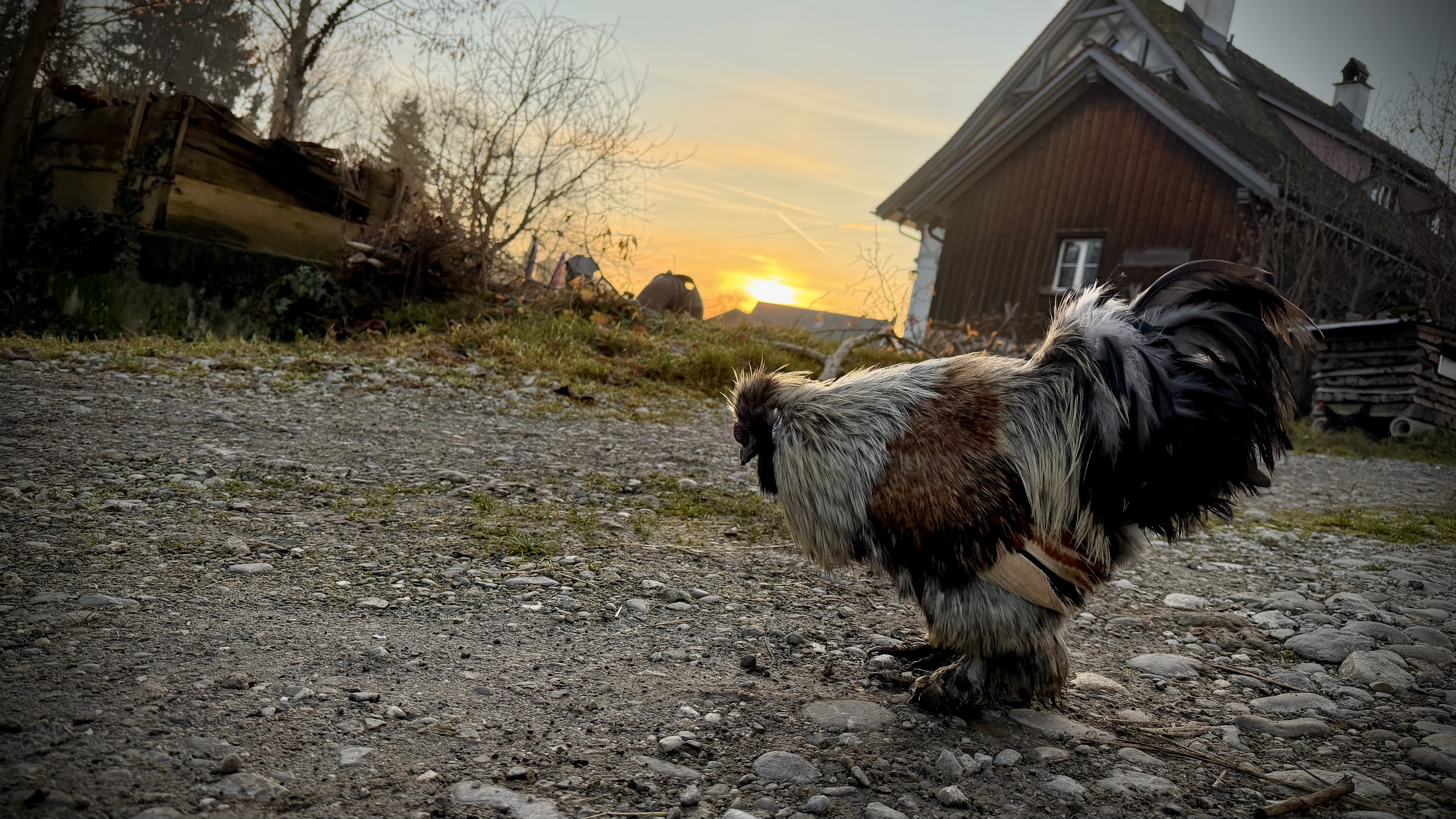 Bild von Martin für den Spot 1083