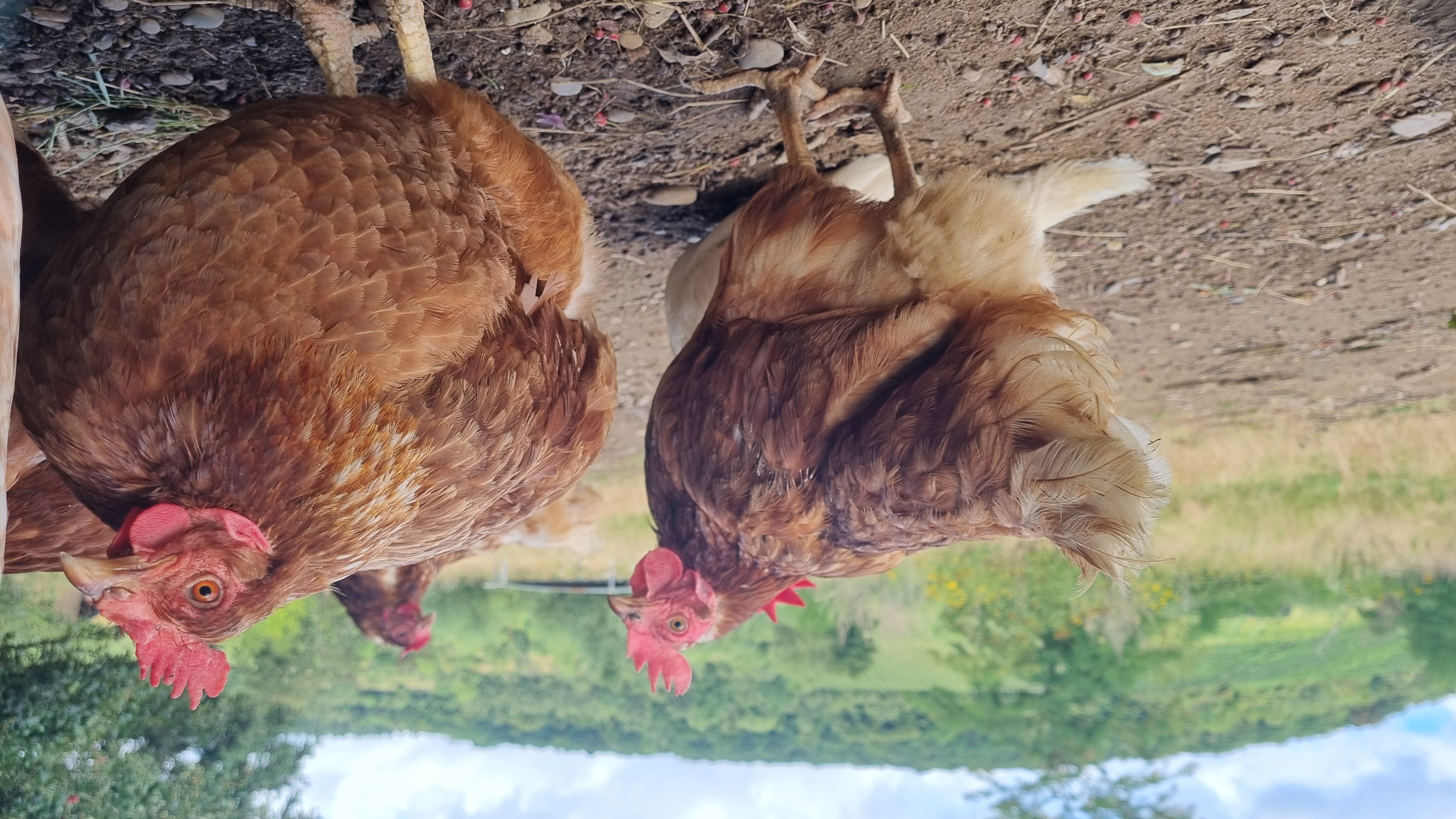 Bild von Jana für den Spot 1436