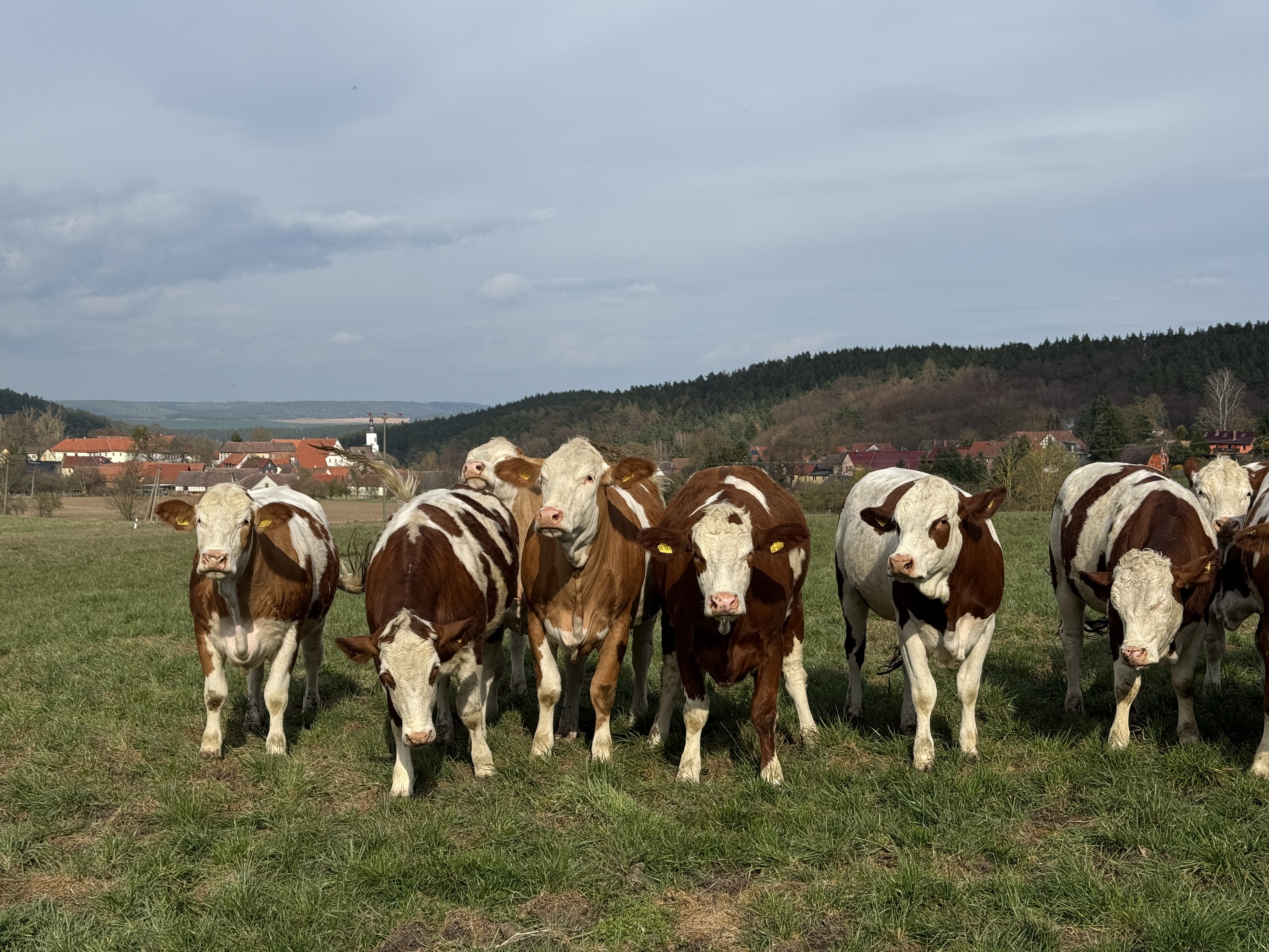 Bild von Jochem für den Spot 1876