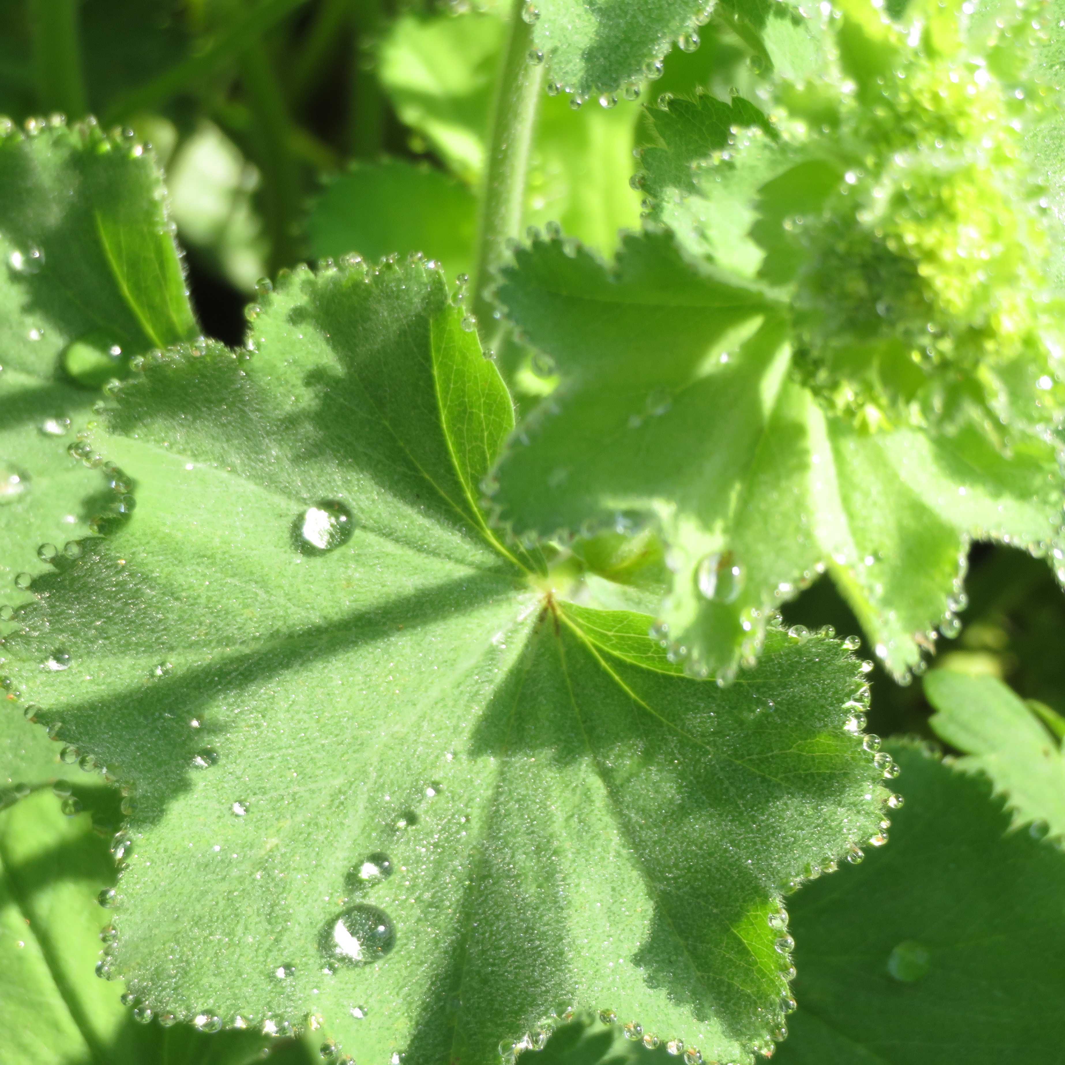 Profilbild von Nicole