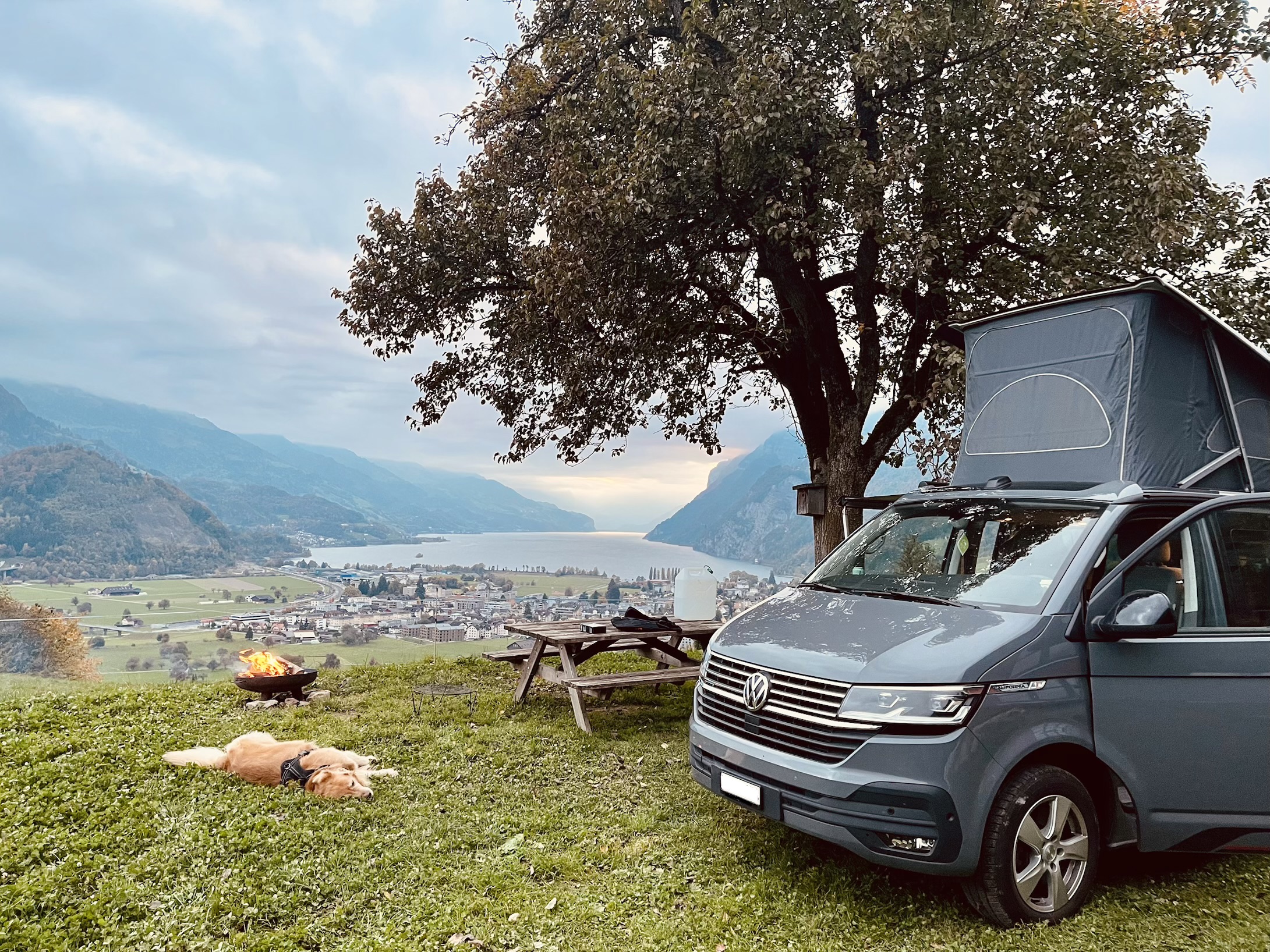 Bild von Elena für den Spot 713