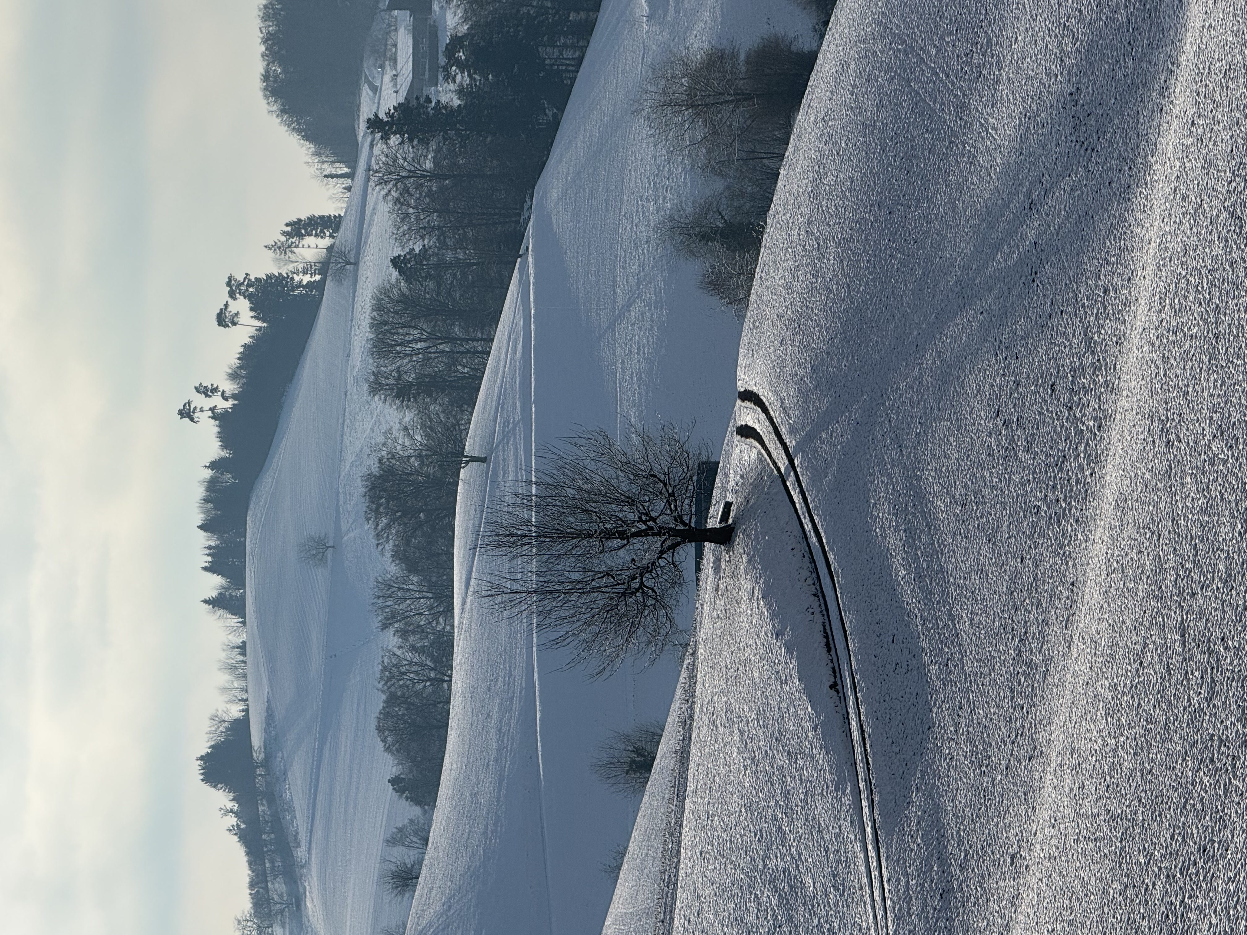 Bild von Peter für den Spot 215