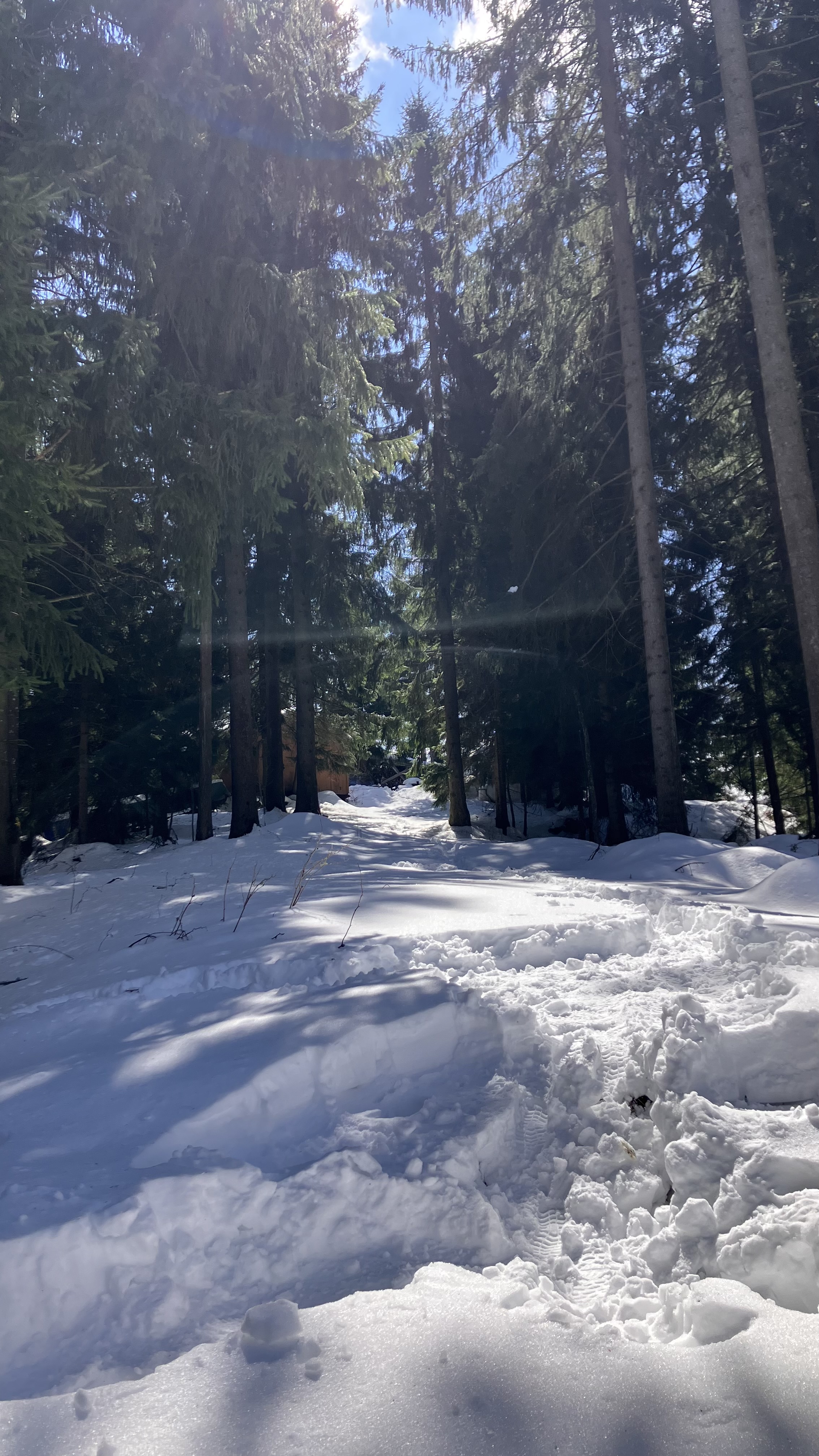 Bild von Daniel für den Spot 216