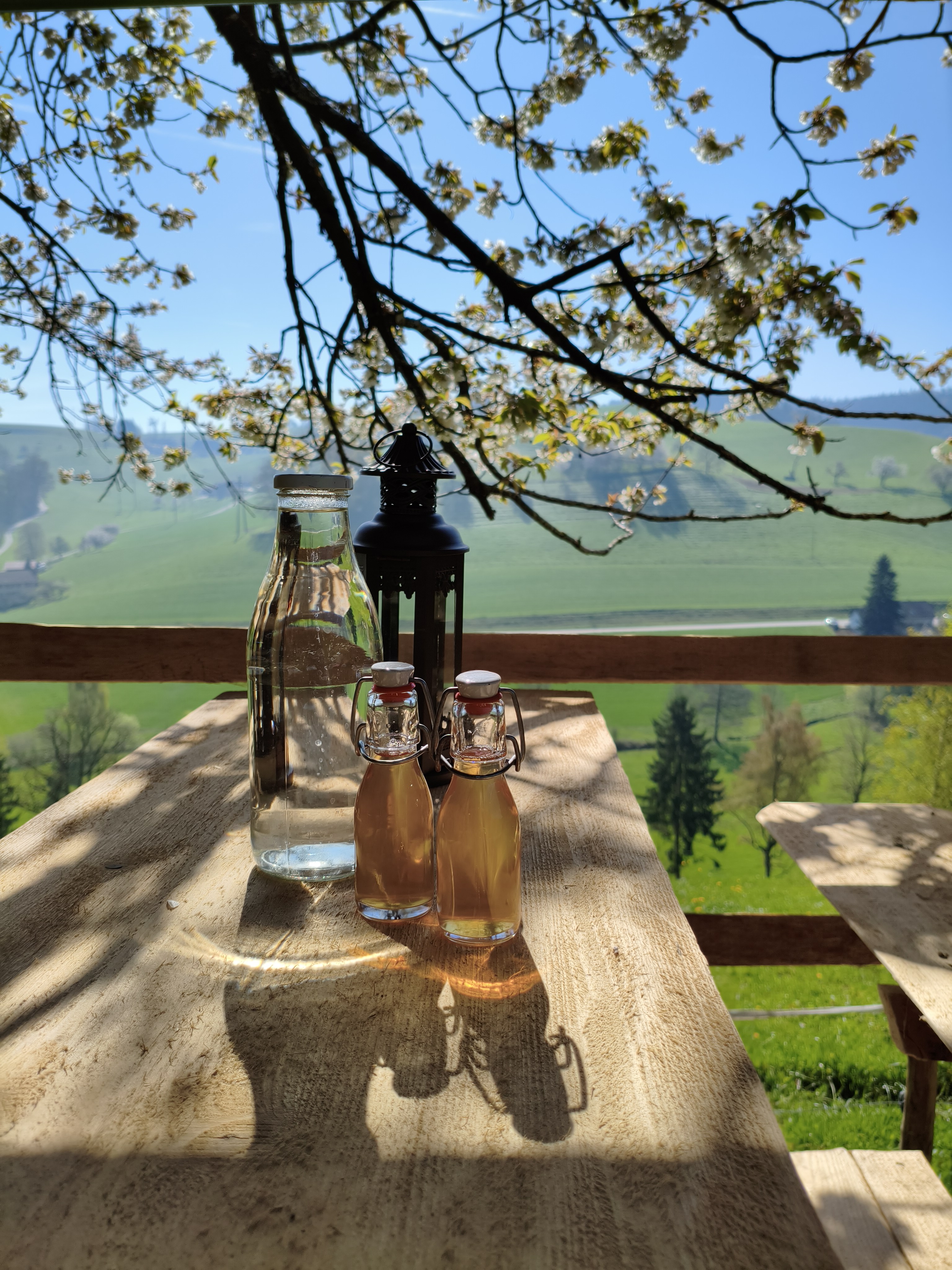 Bild von Selina für den Spot 323