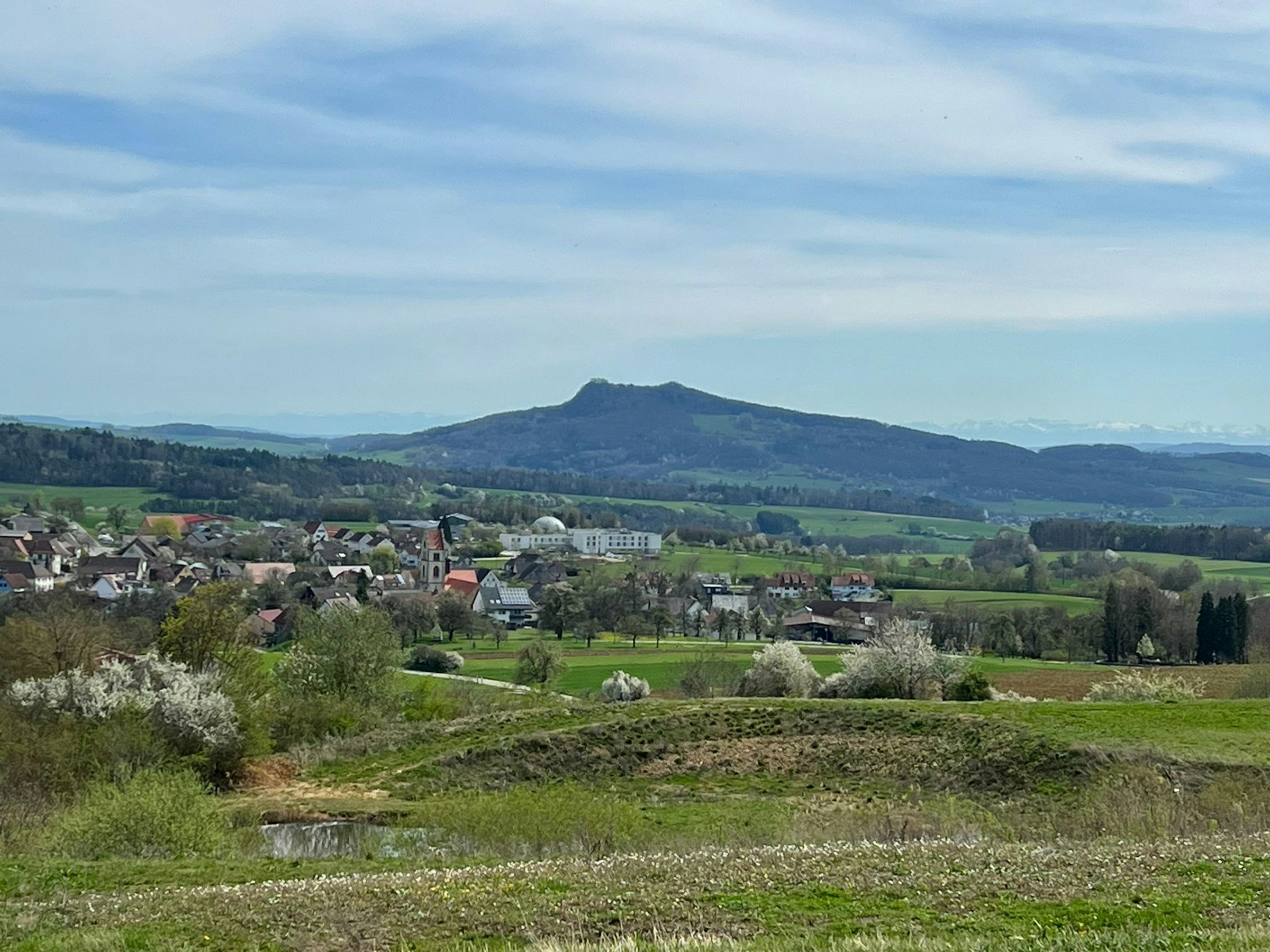 Wiese mit Fernblick in die Alpen