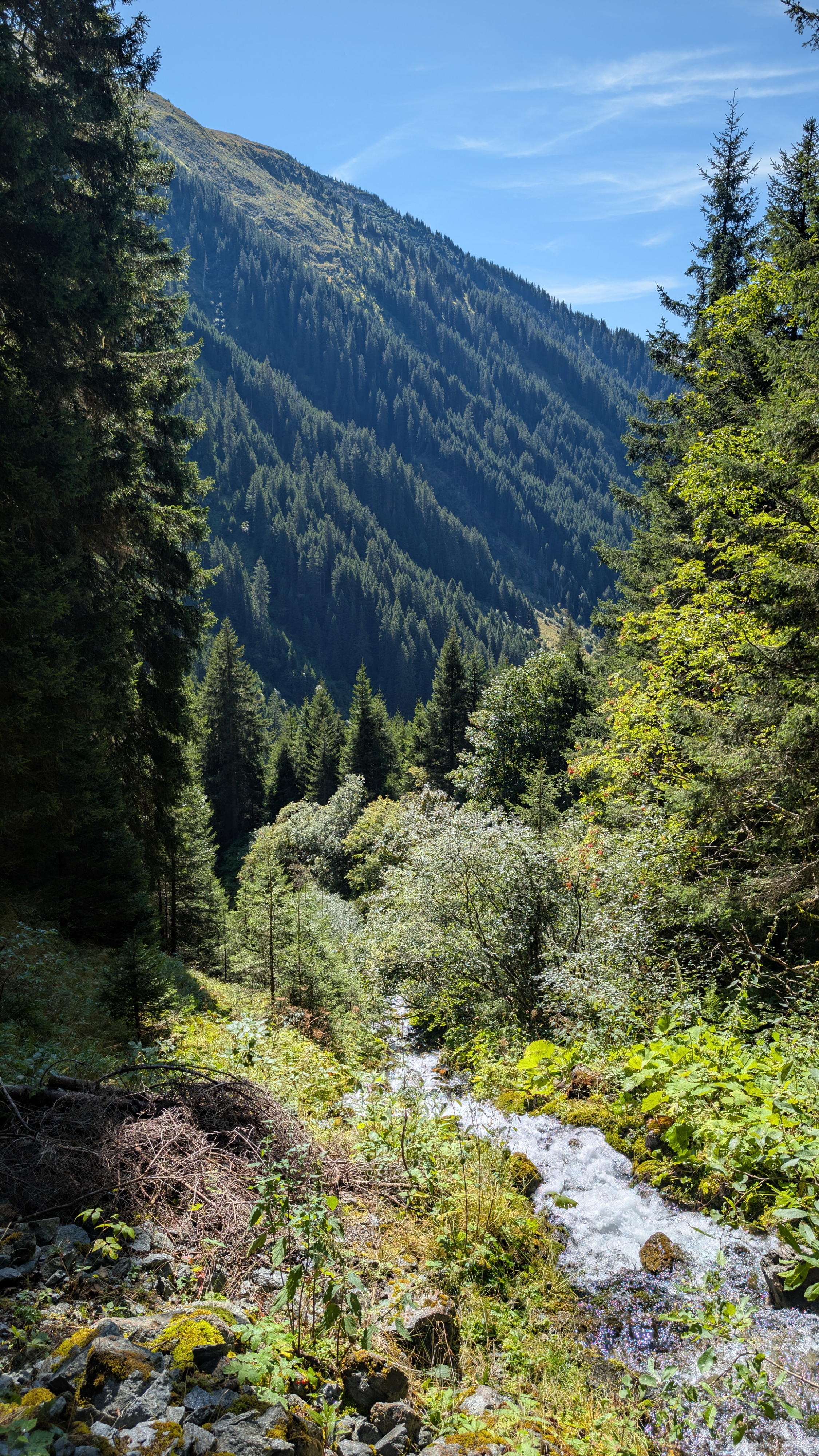 Bild von Corina für den Spot 295