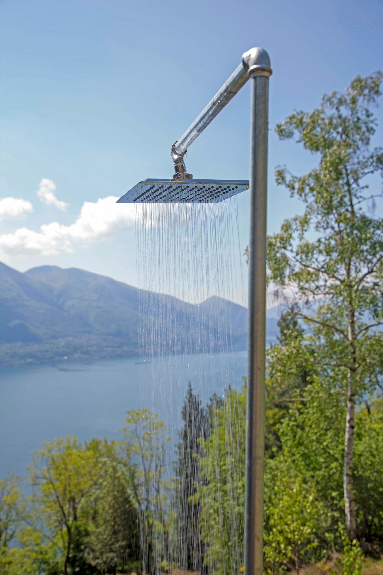 La Sorgente (castagno)