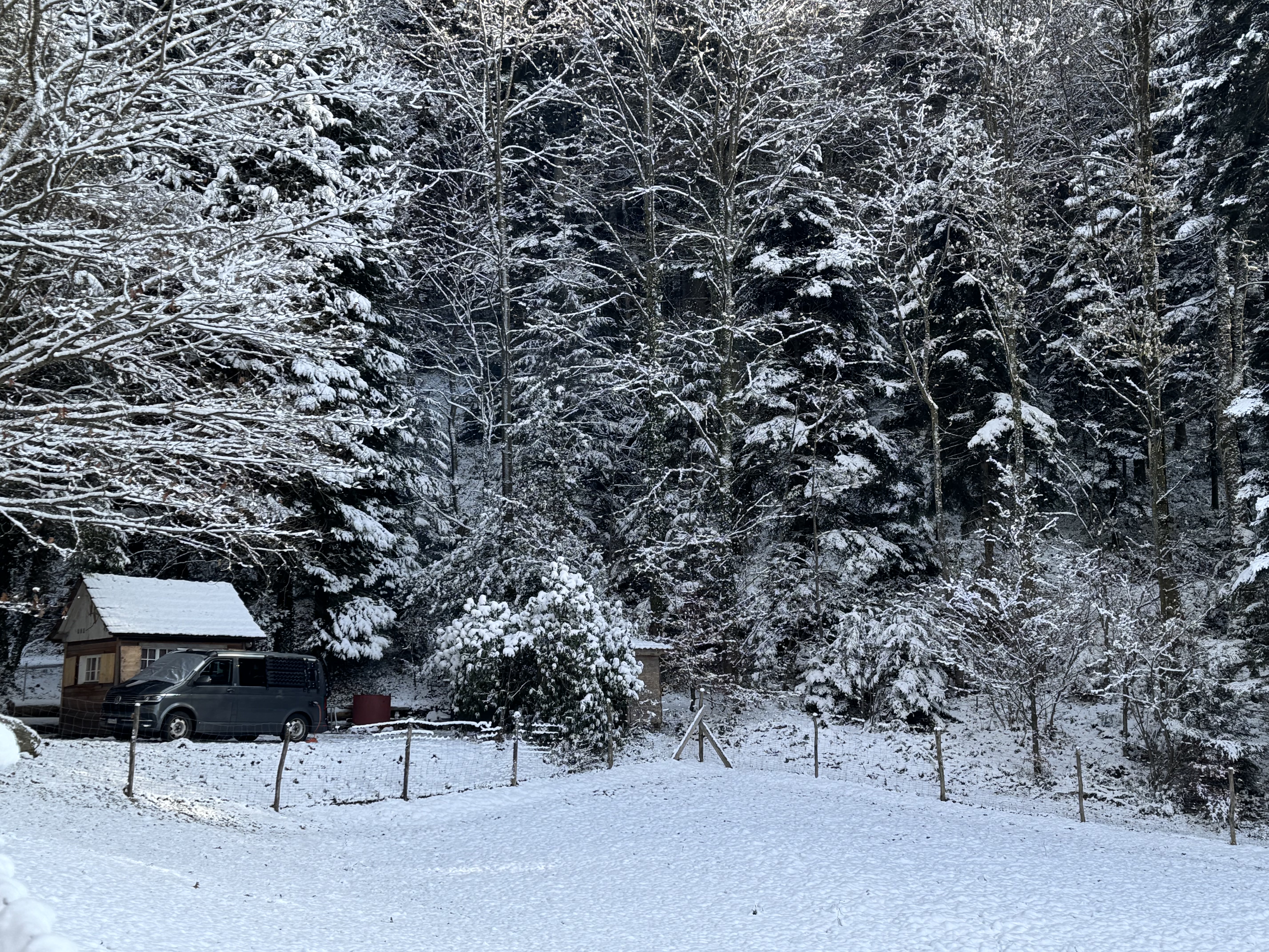 Bild von Peter für den Spot 215