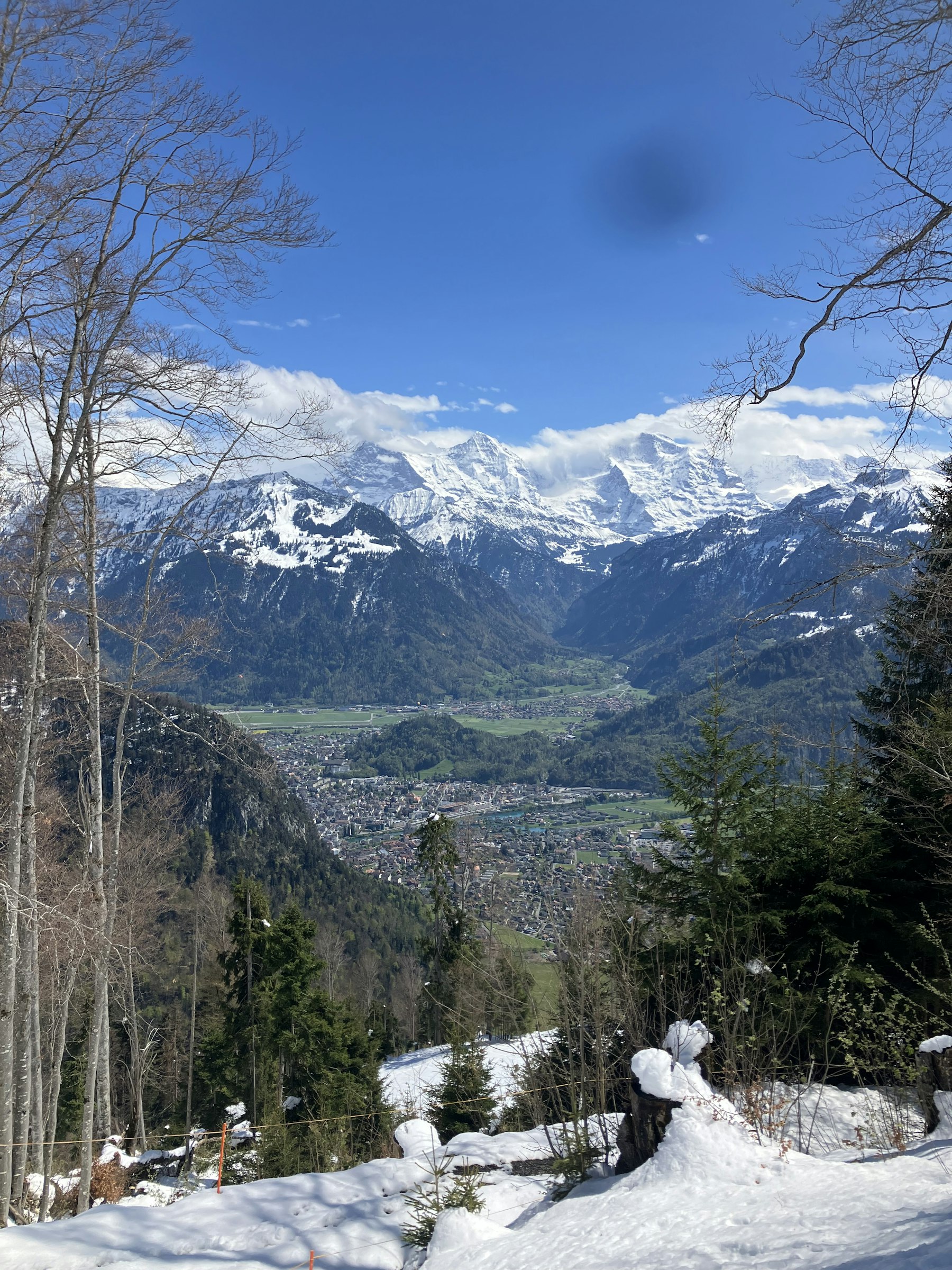 Profilbild von Michael