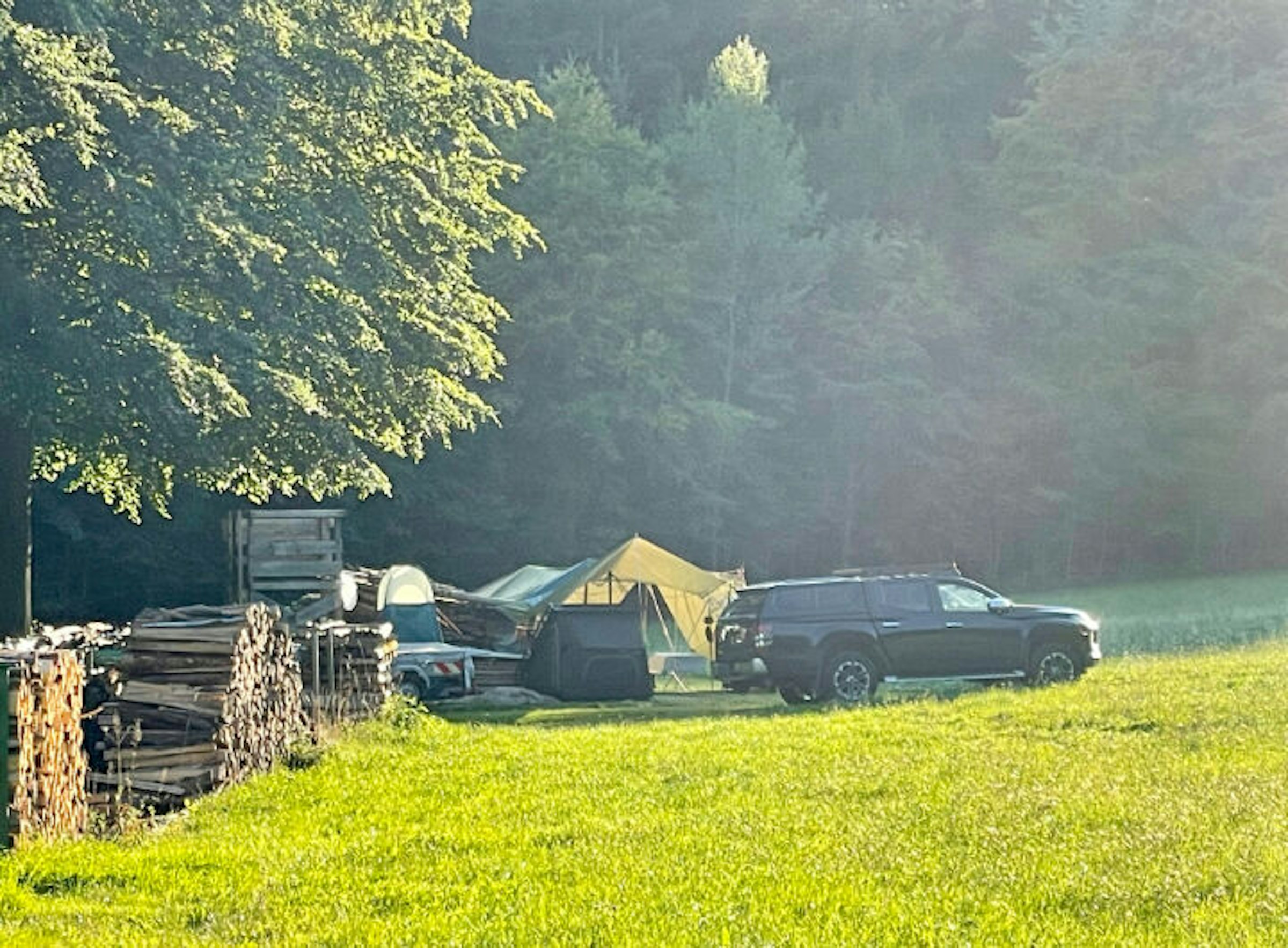 Idyllische Waldwiese