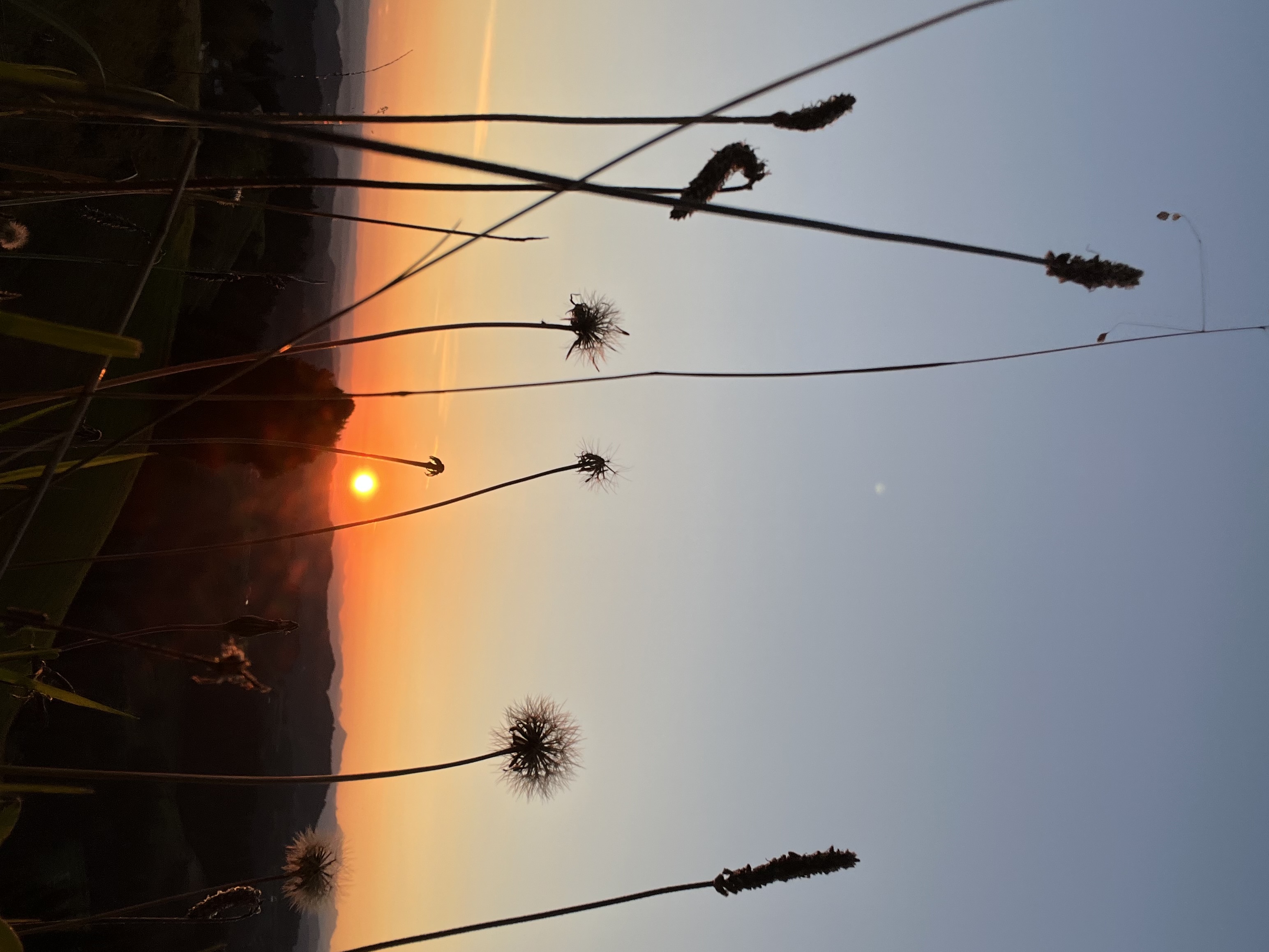 Bild von Willa für den Spot 363