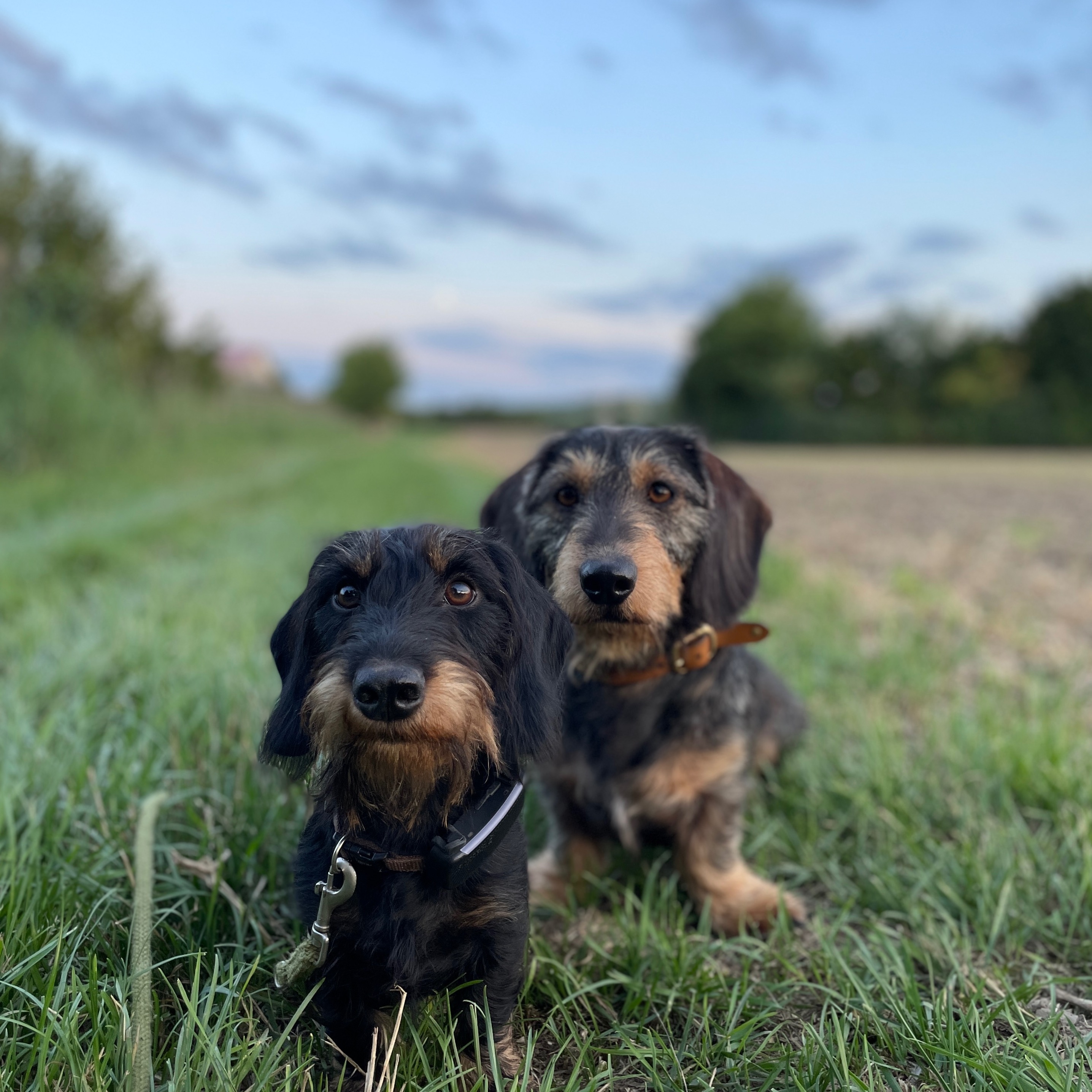 Profilbild von Stefan