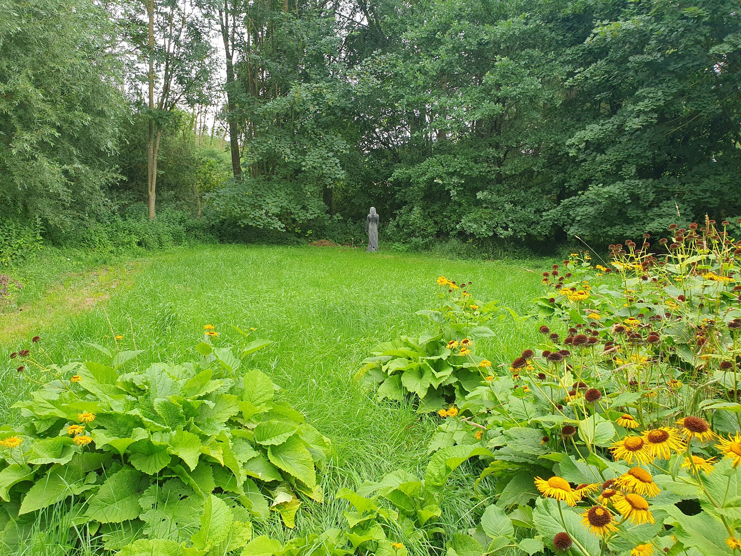 Naturwiese mit Saunaangebot