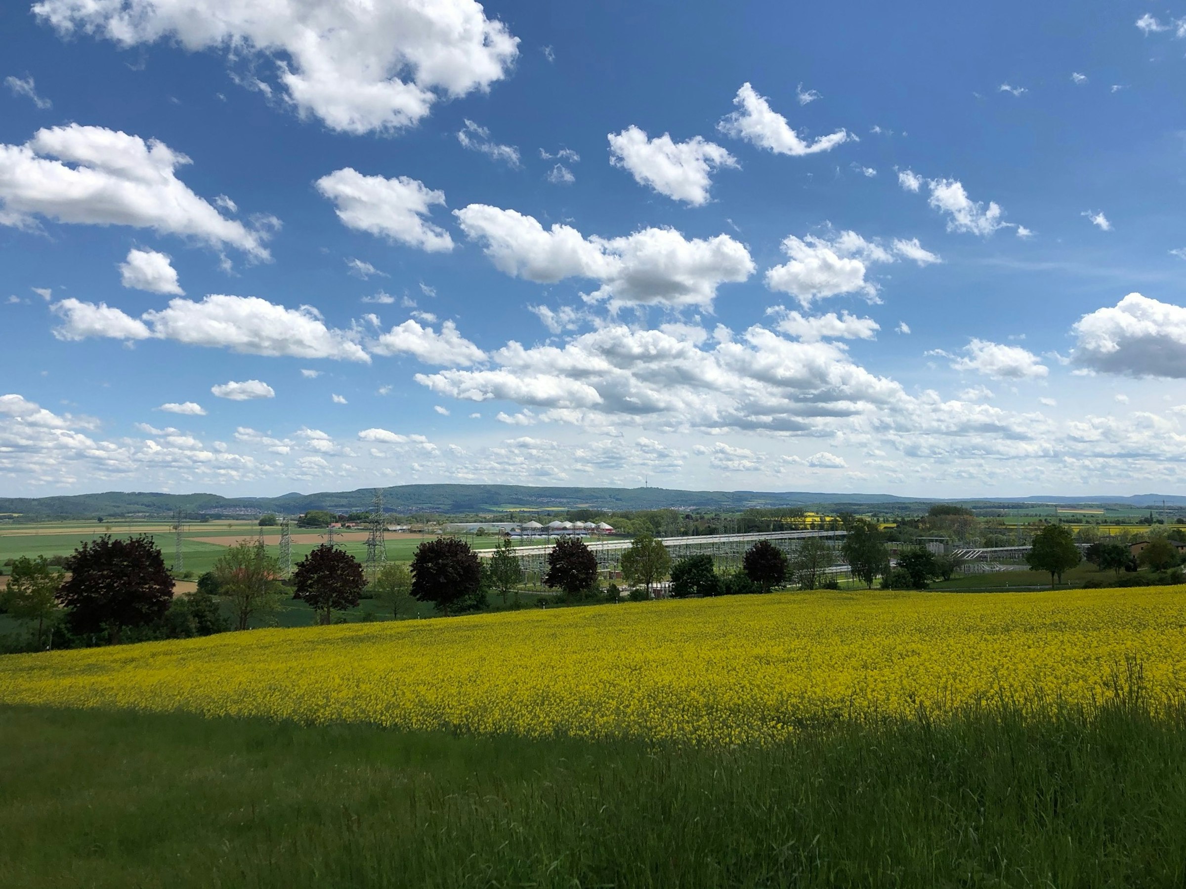 Ehem. Sägewerk Leinetal -> Brocken