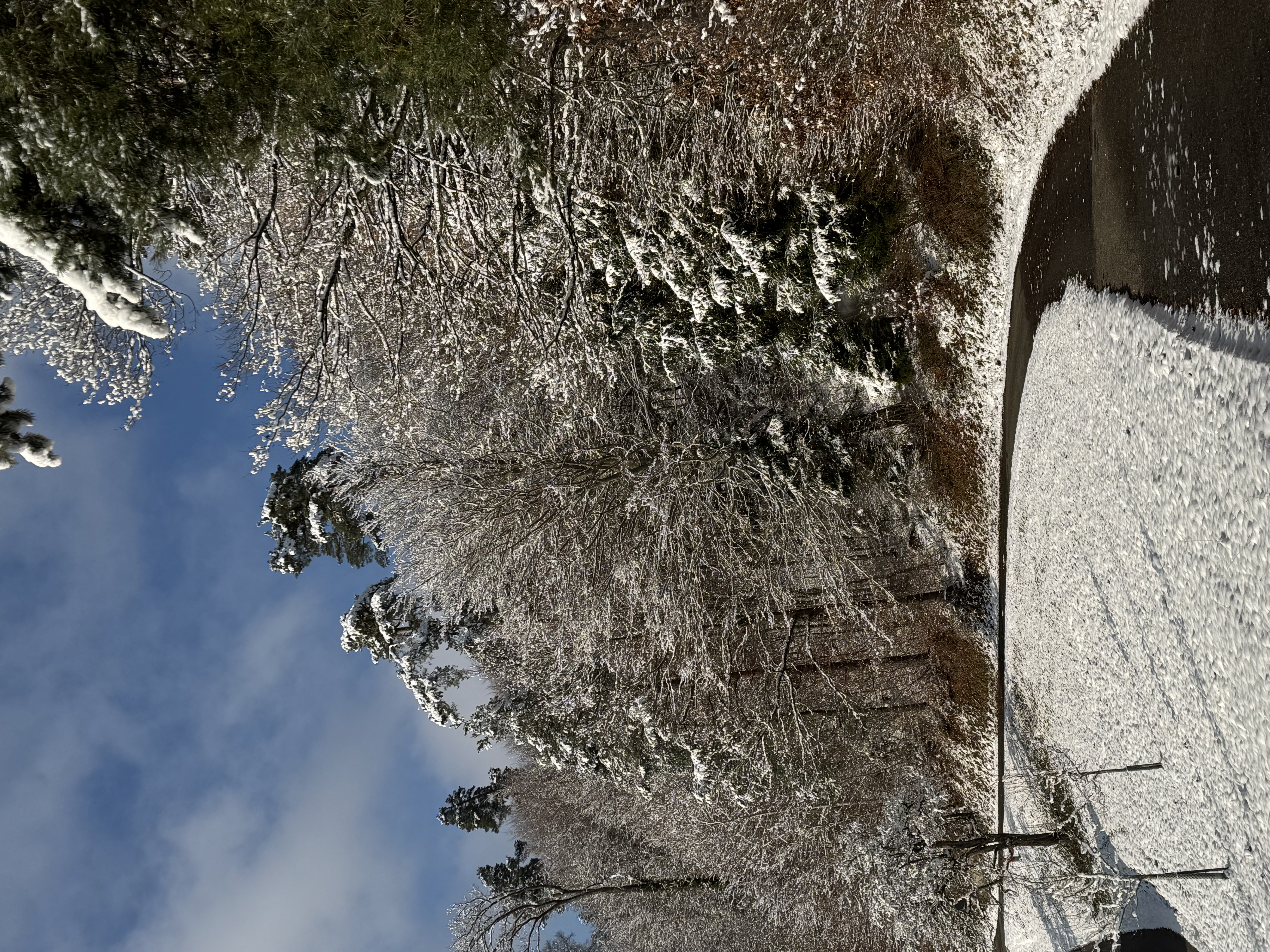 Bild von Peter für den Spot 215