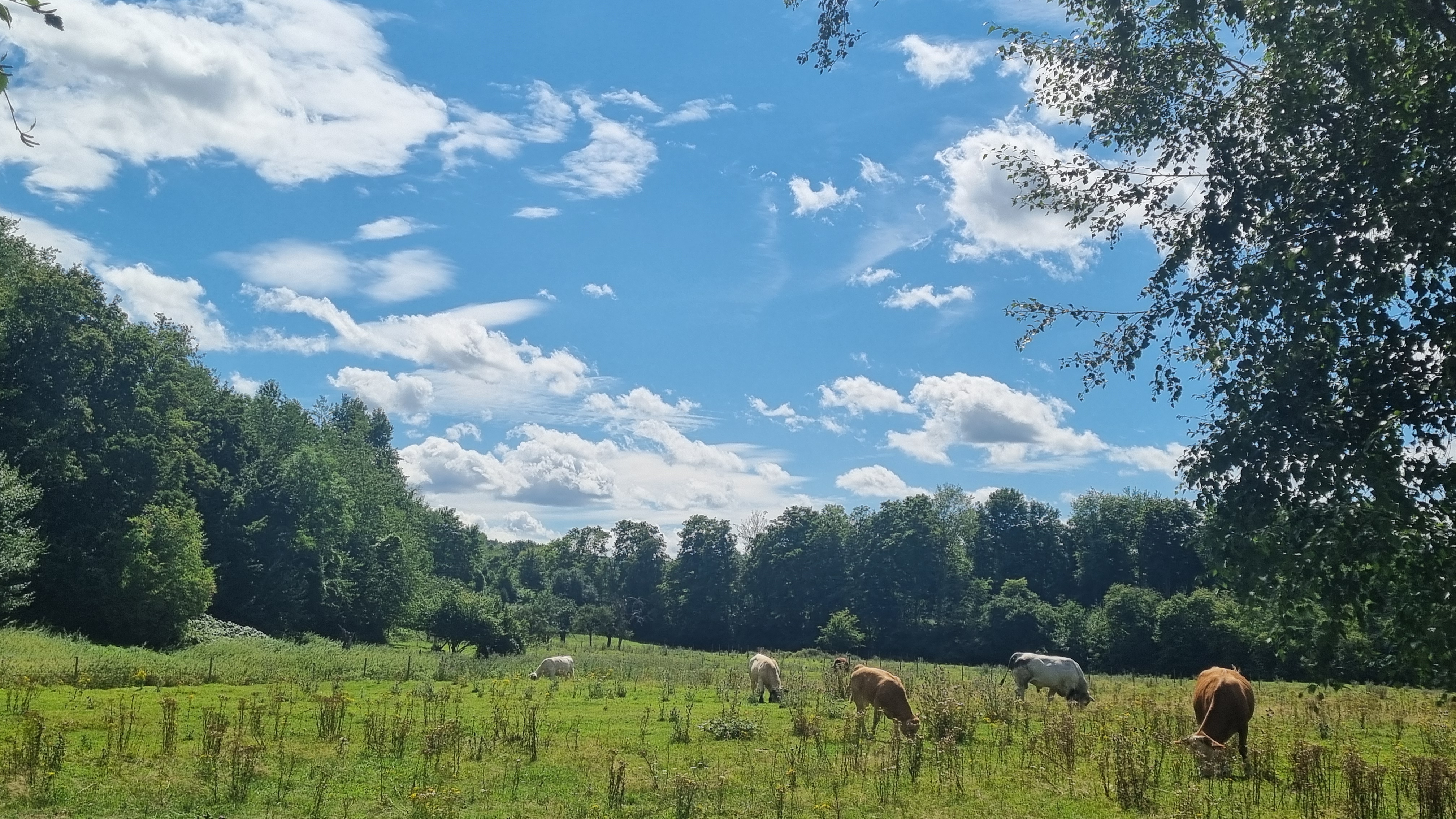 Bild von Jana für den Spot 1436
