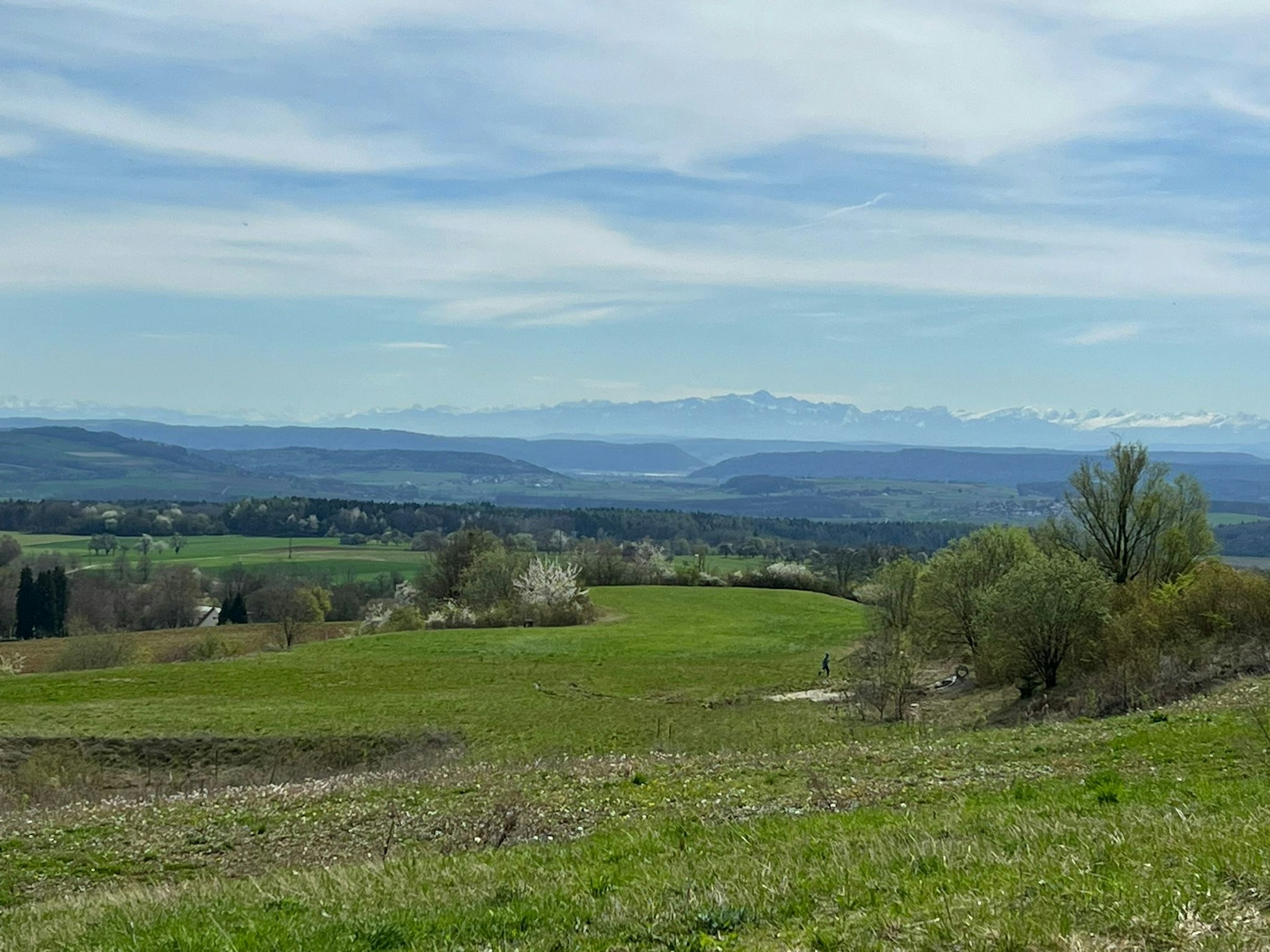 Wiese mit Fernblick in die Alpen