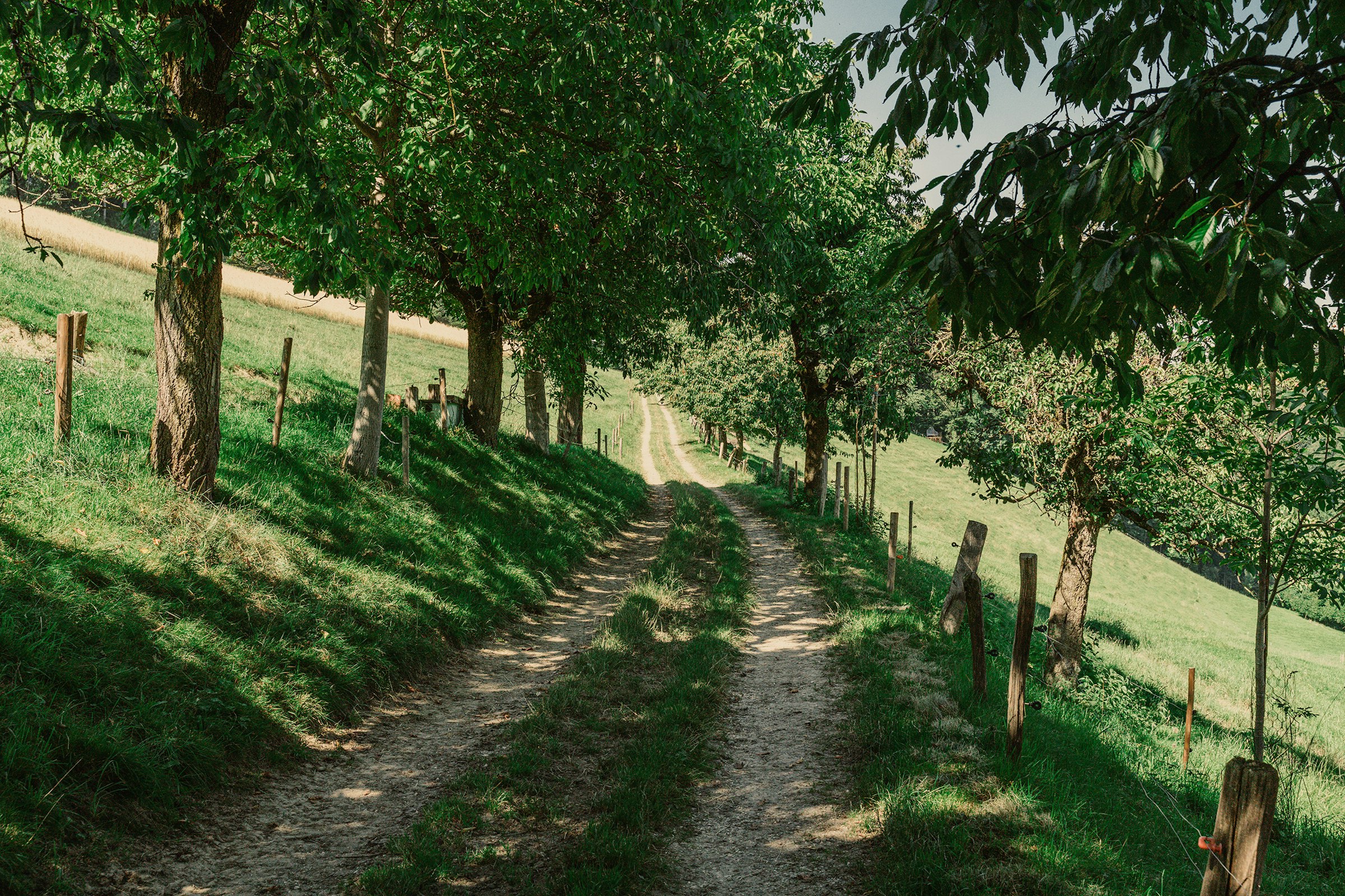 Am Ende der Chriesiallee